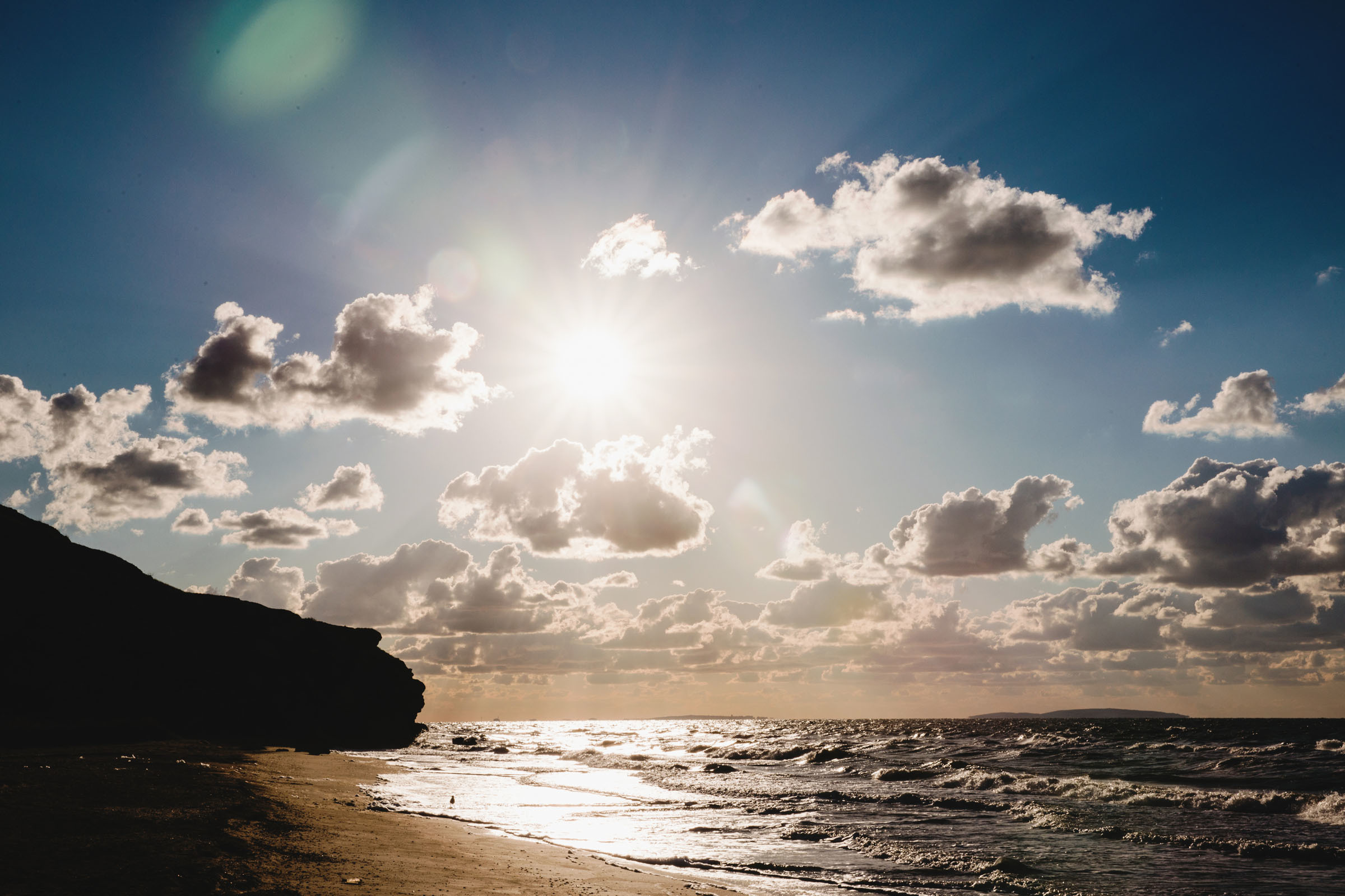 Пёс //Дэнис&Александра. Фотограф Алутера Ирина
