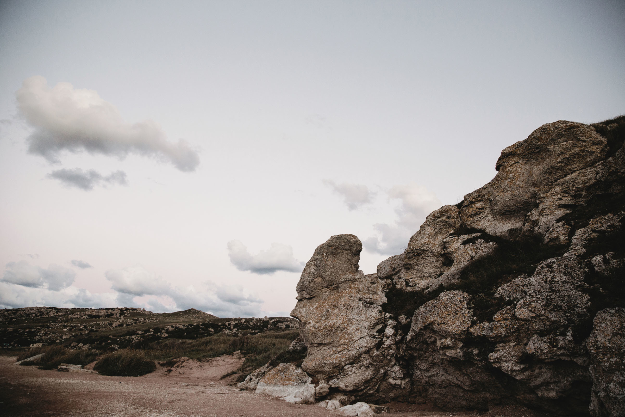Пёс //Дэнис&Александра. Фотограф Алутера Ирина
