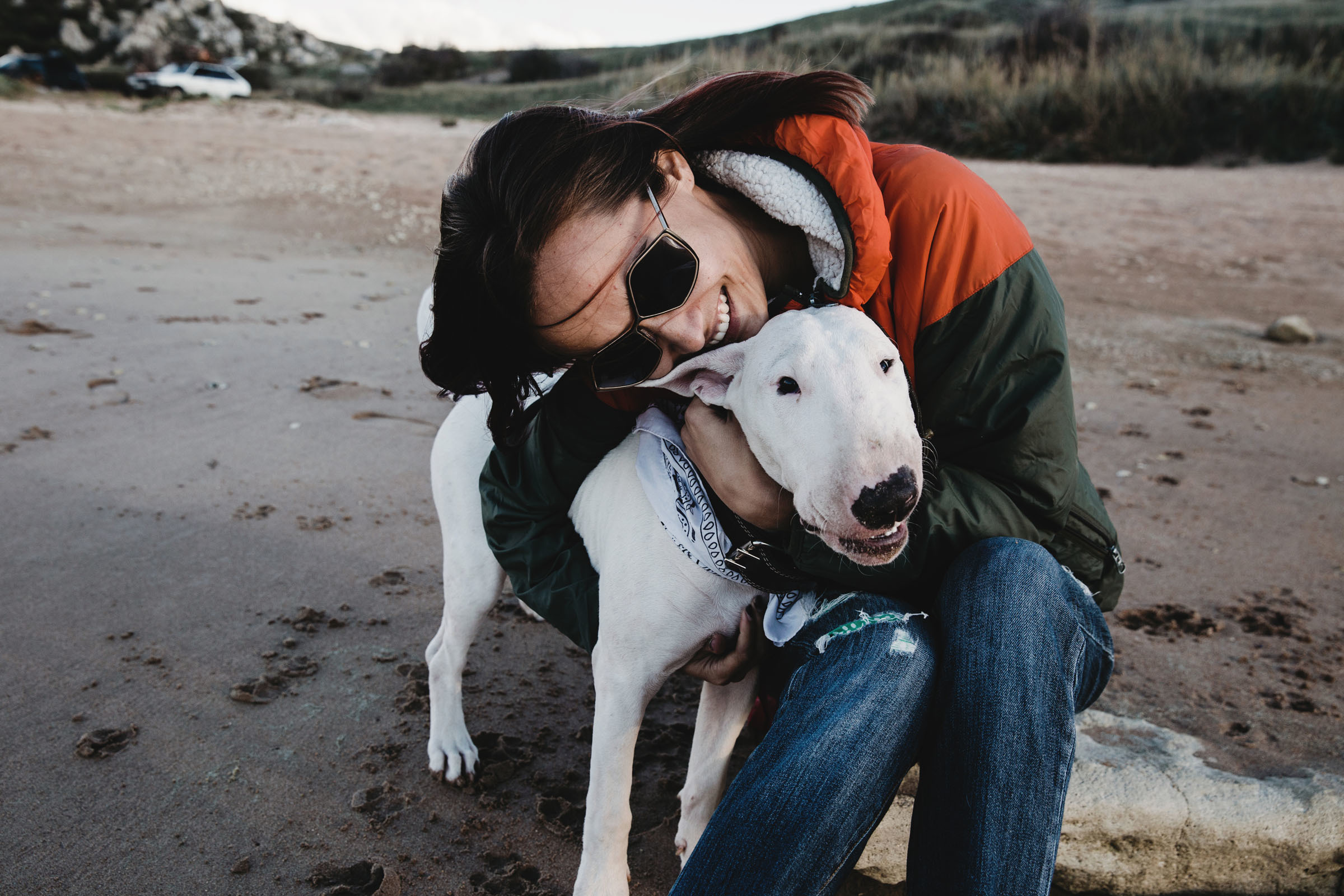 Пёс //Дэнис&Александра. Фотограф Алутера Ирина