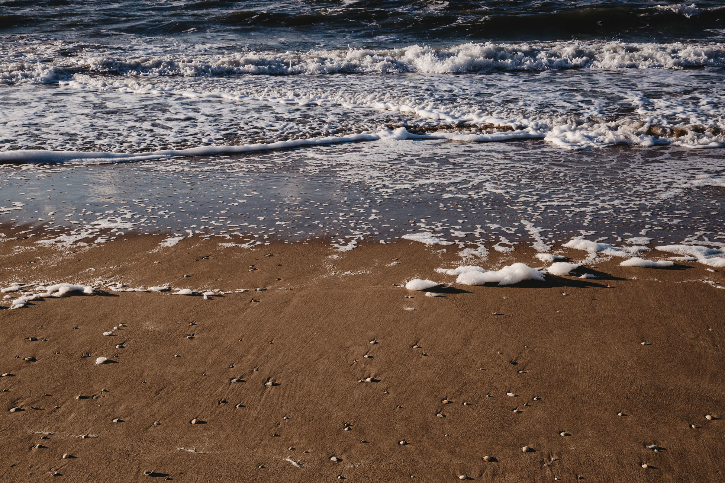 Пёс //Дэнис&Александра. Фотограф Алутера Ирина