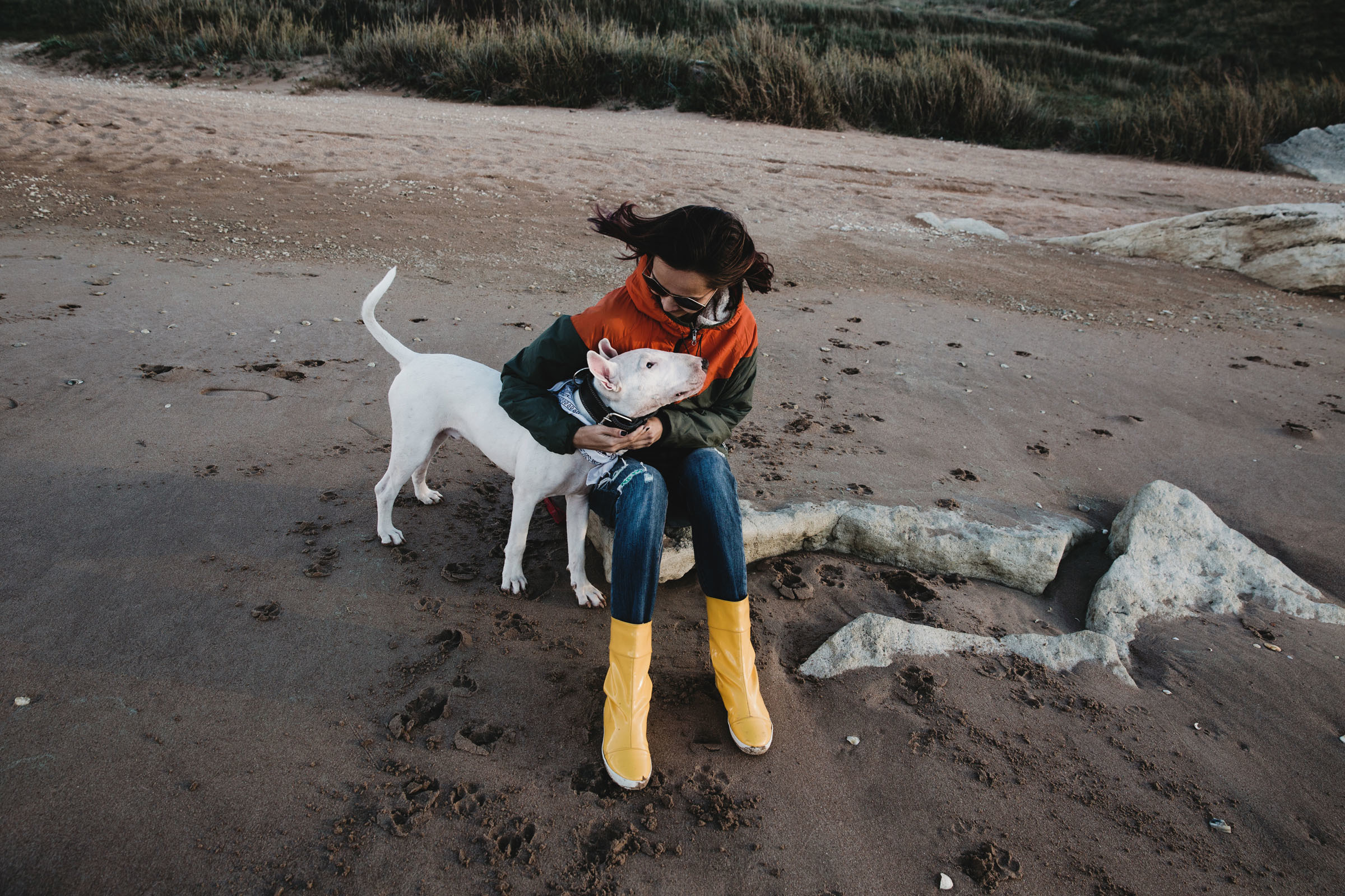 Пёс //Дэнис&Александра. Фотограф Алутера Ирина