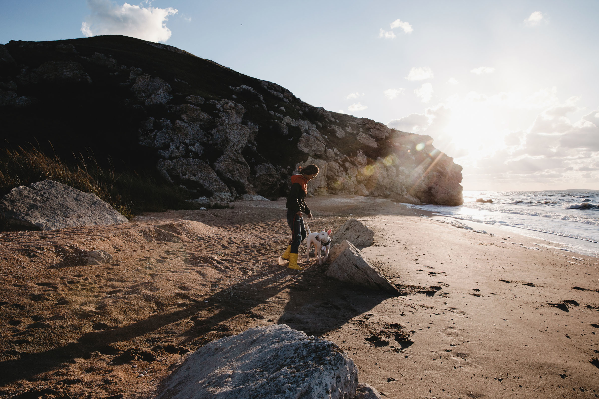Пёс //Дэнис&Александра. Фотограф Алутера Ирина