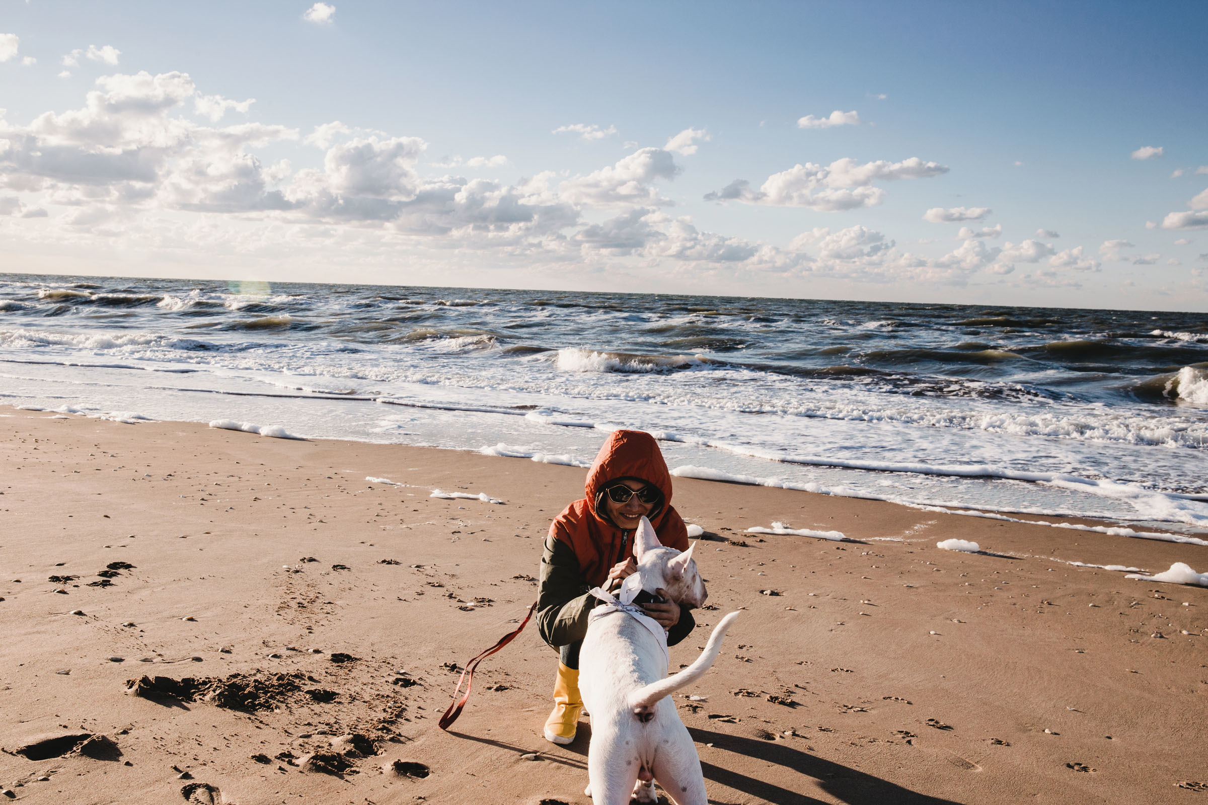 Пёс //Дэнис&Александра. Фотограф Алутера Ирина
