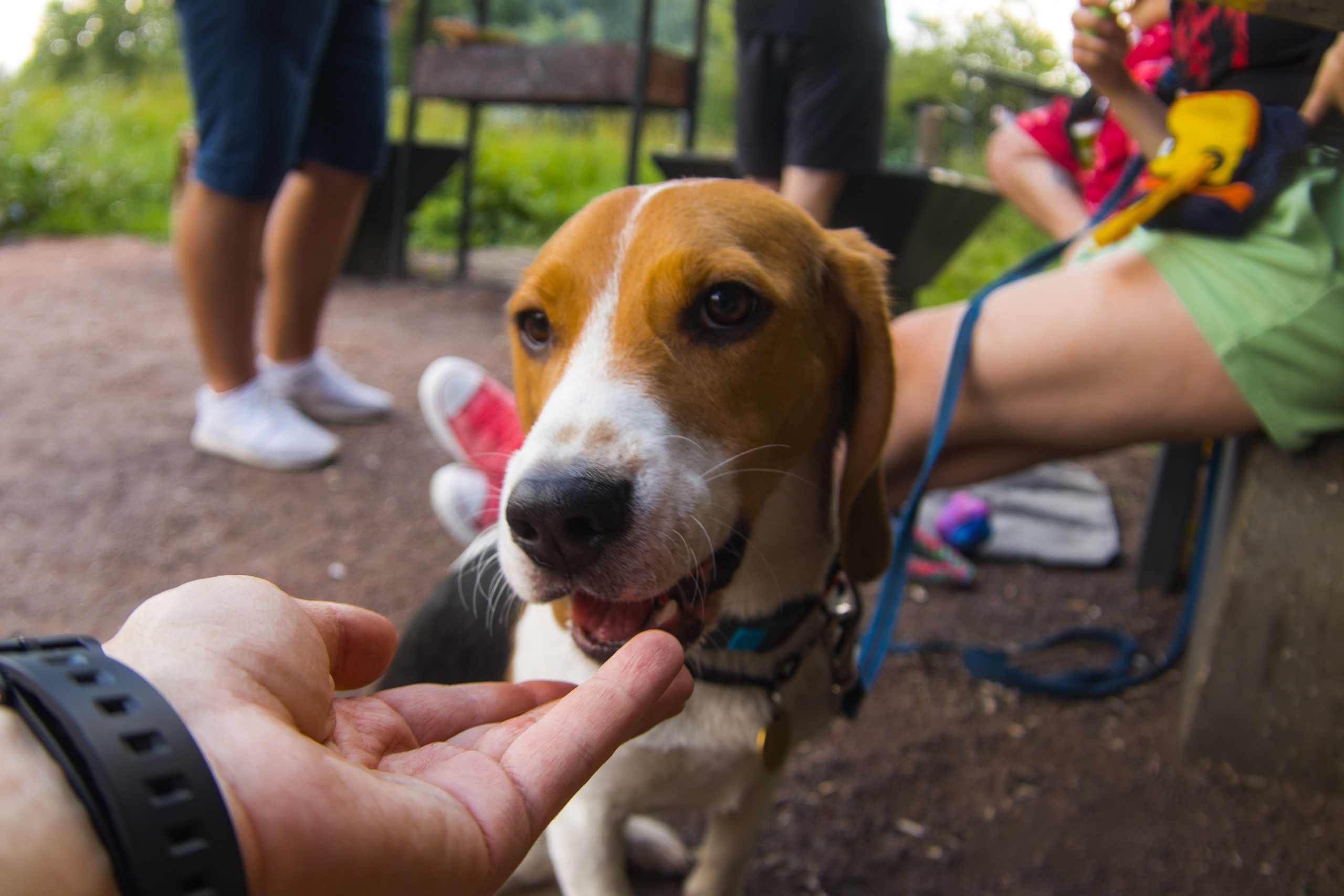 И вокруг меня. Портретный и концертный фотограф в Санкт-Петербурге Егор Телятников