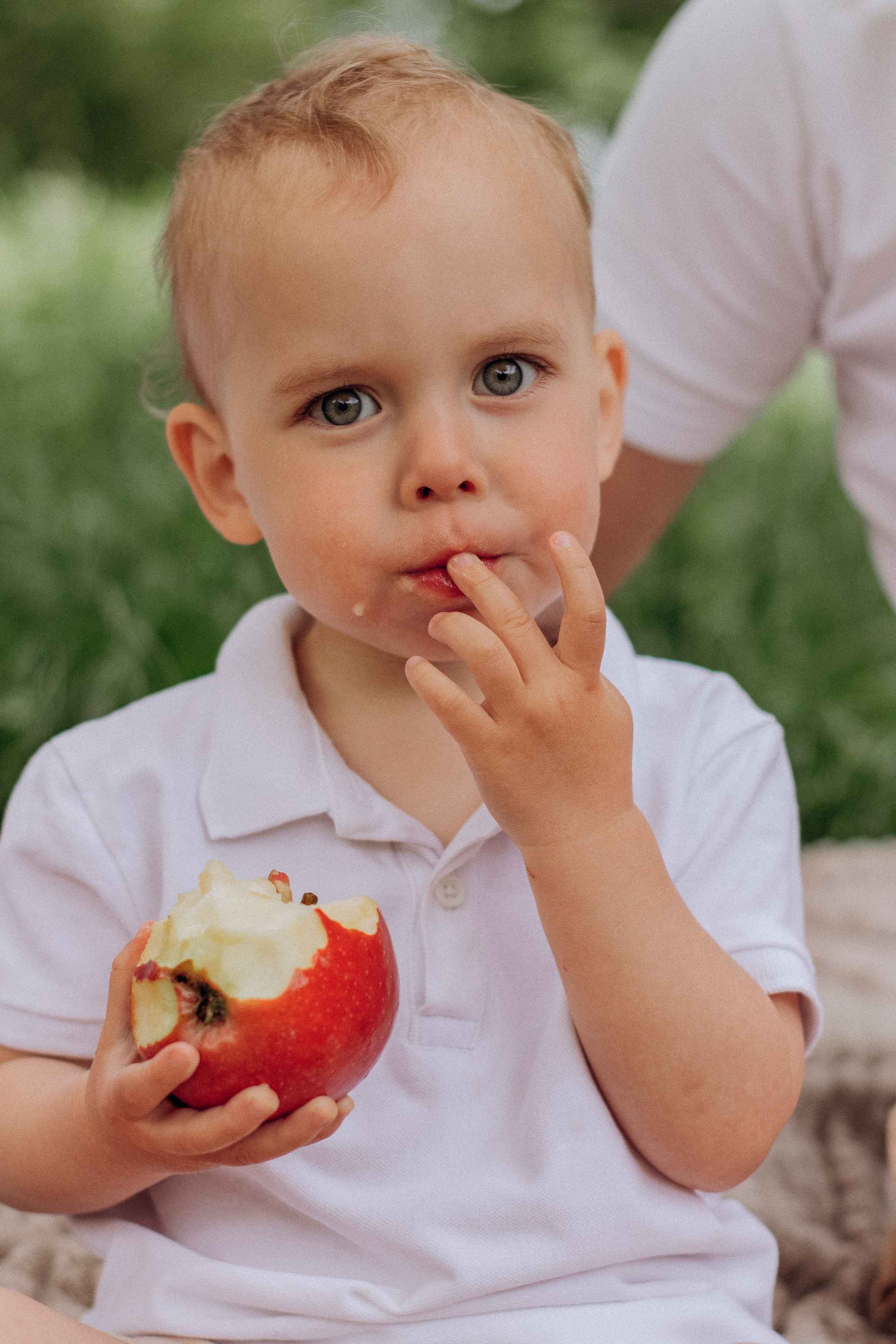 Пикник на пруду. Главная