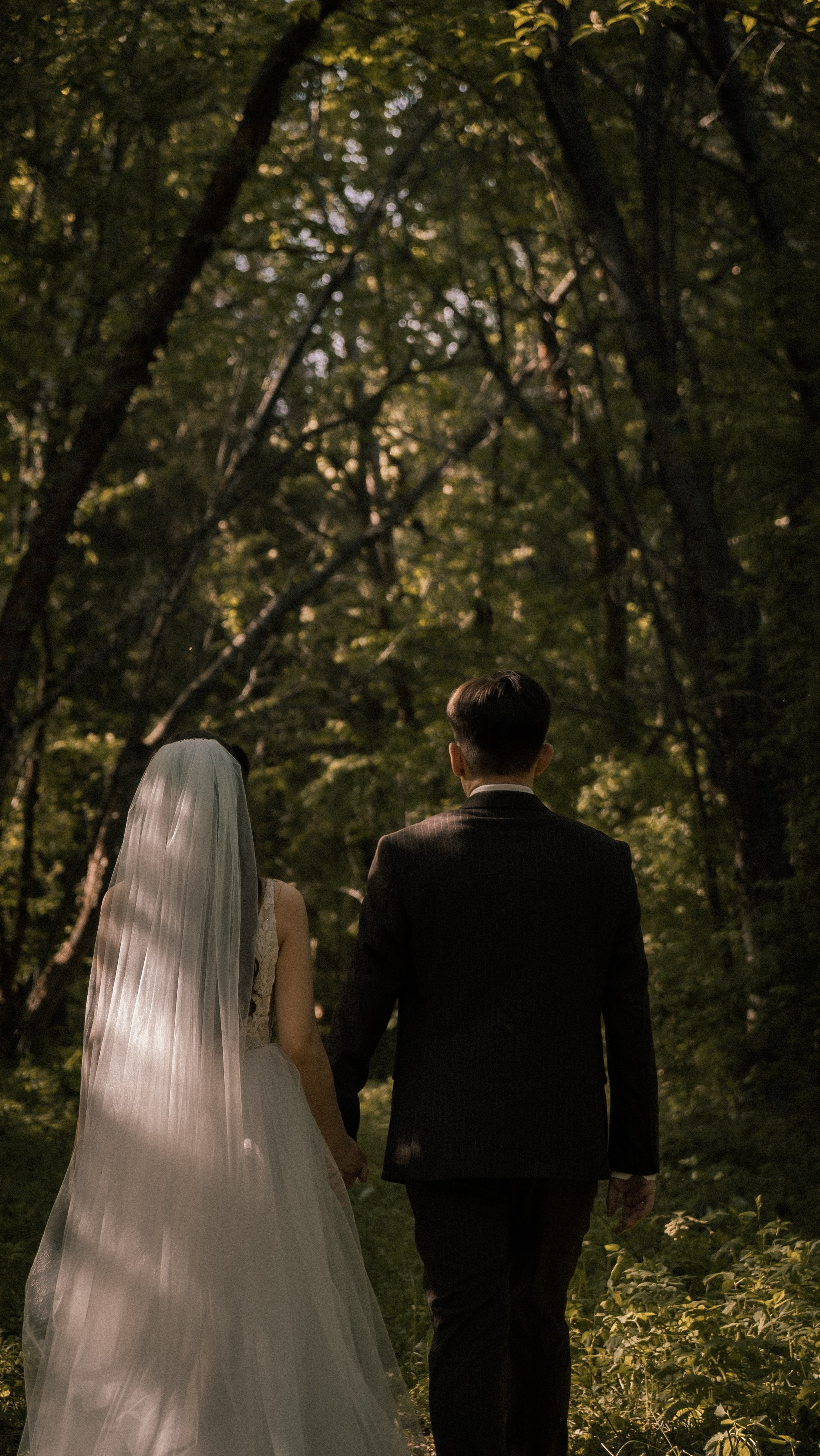 Алина и Арсений. Фотограф и видеограф Андрей Кукишев