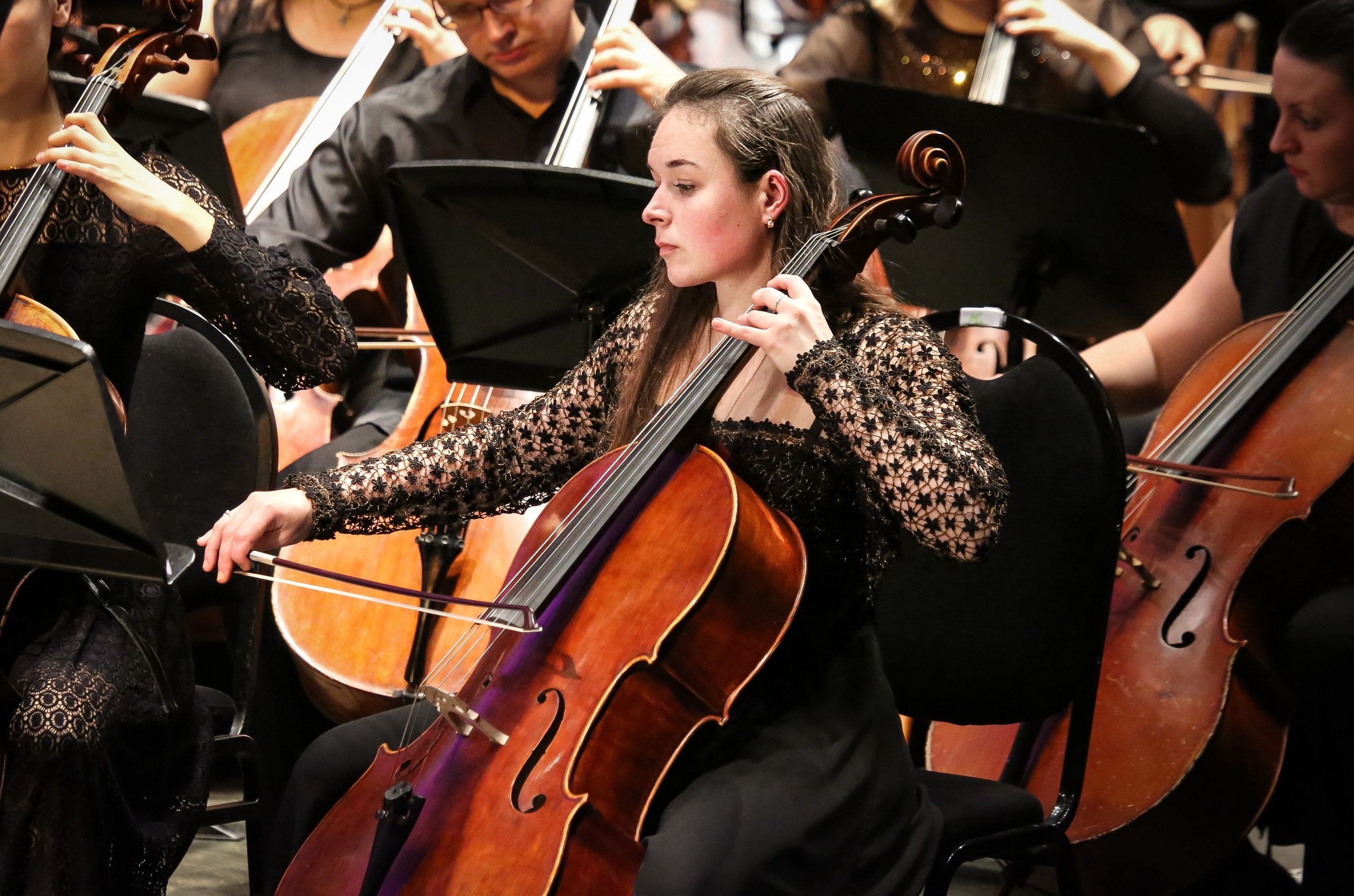 Концерт в Доме музыки к Международному дню борьбы с эпилепсией. Дарья Письменюк / Darya Leitstern — фотограф, музыкант, журналист, путешественник