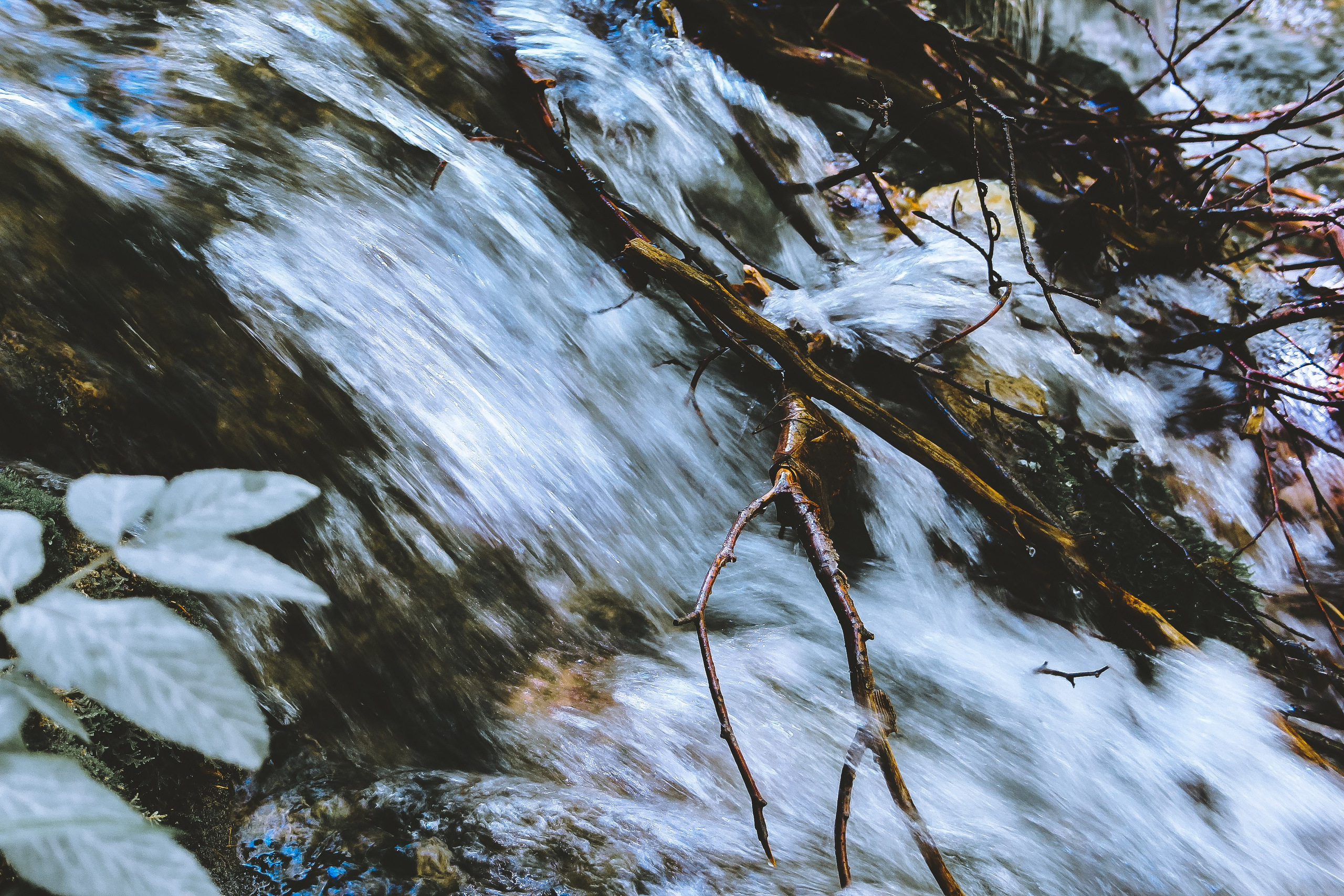 Хорватия: Плитвицкие озера. Дарья Письменюк / Darya Leitstern — фотограф, музыкант, журналист, путешественник