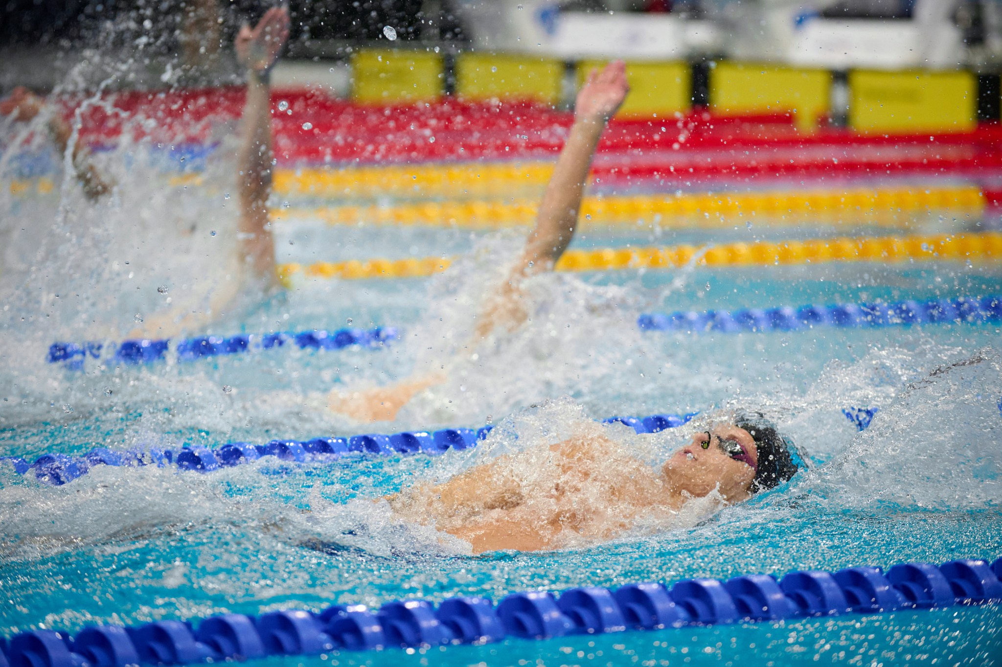 Кубок России по плаванию 2024 г. Екатеринбург. Мезенцев Евгений фотограф