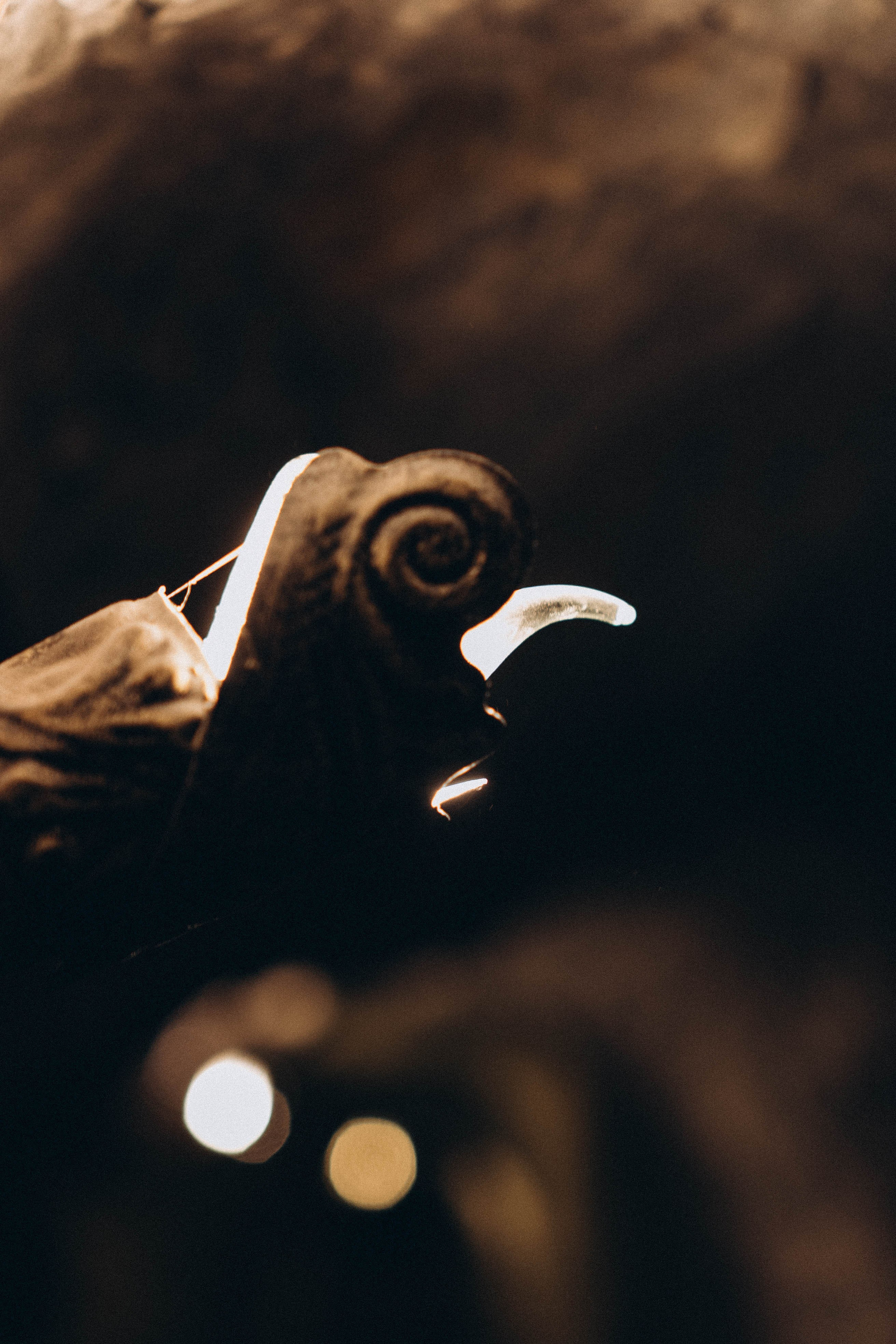 Кавказ. Профессиональный фотограф, Санкт-Петербург — Виктория Богомолова