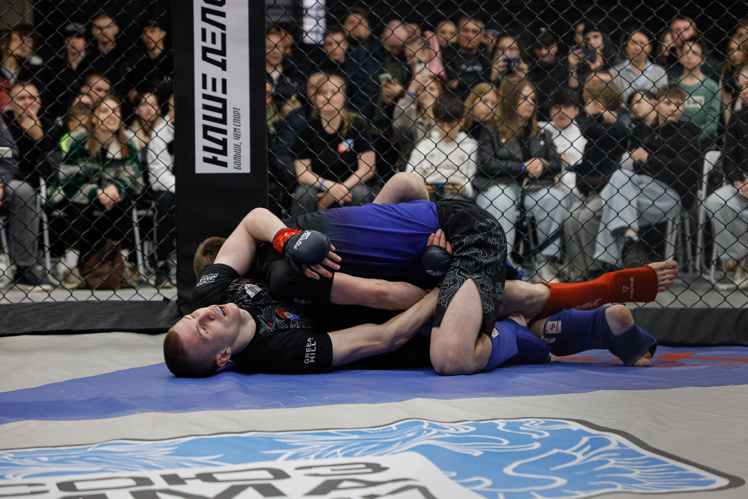 ММА Автолегион 2026. Фотограф в Новосибирске Александр Иванов