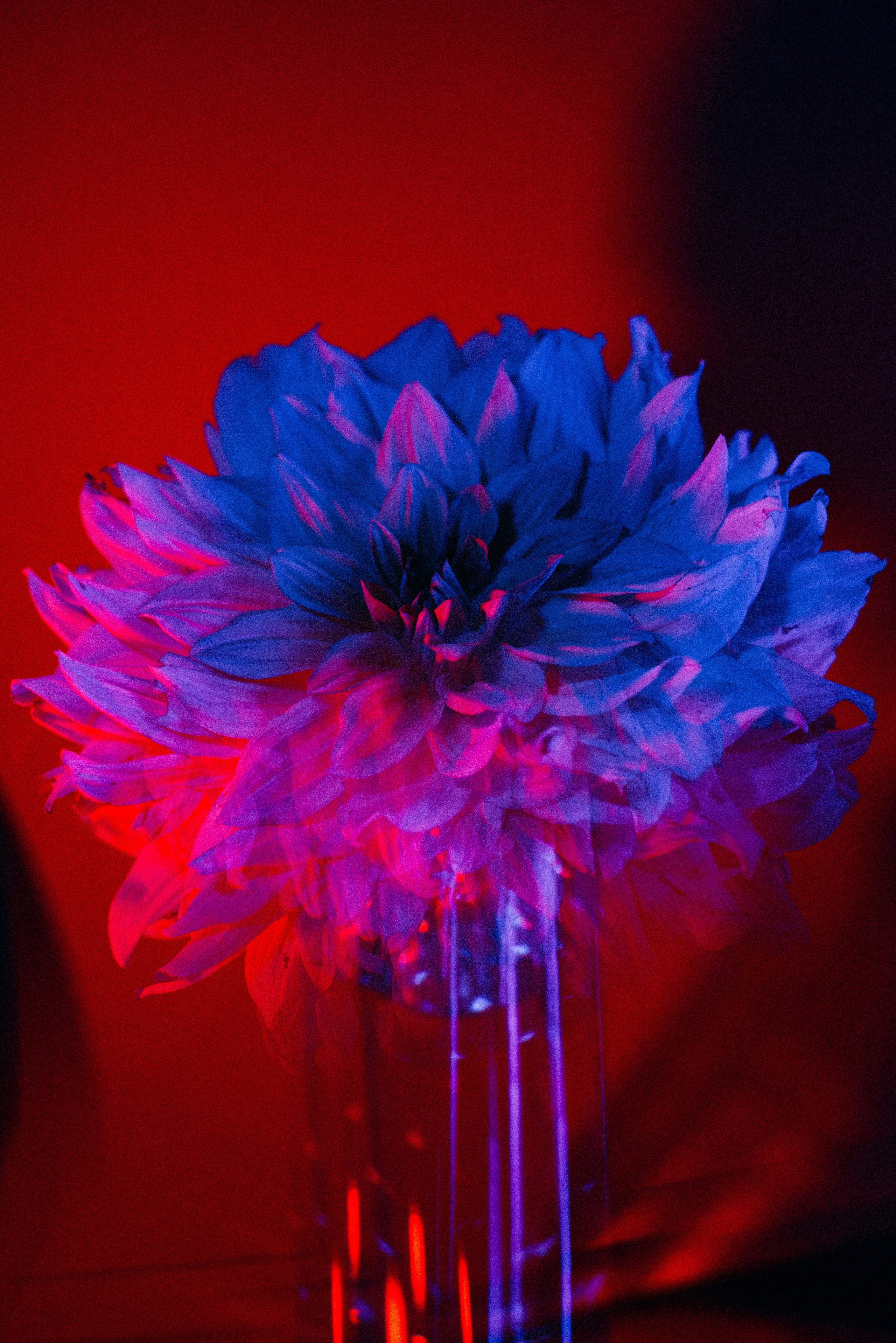 Art. Фотограф в Санкт-Петербурге Мария Мельникова