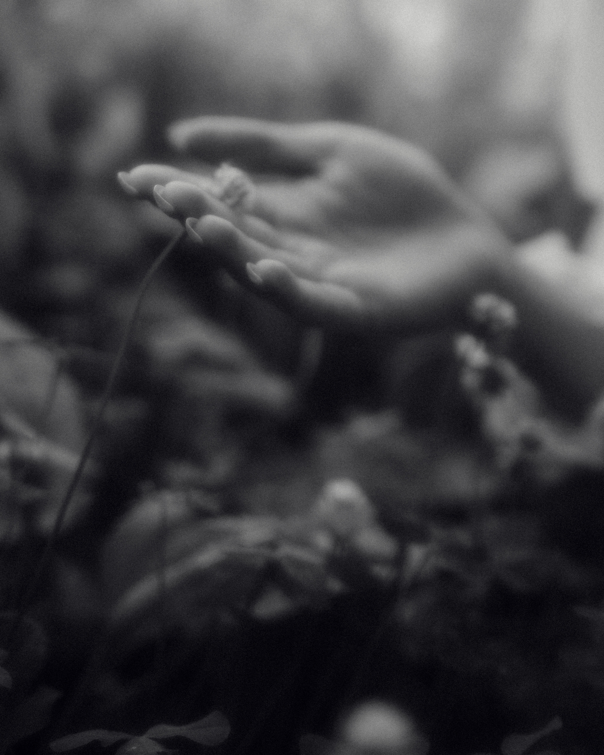 Vlada. Фотограф города Уральск Ольга Василец