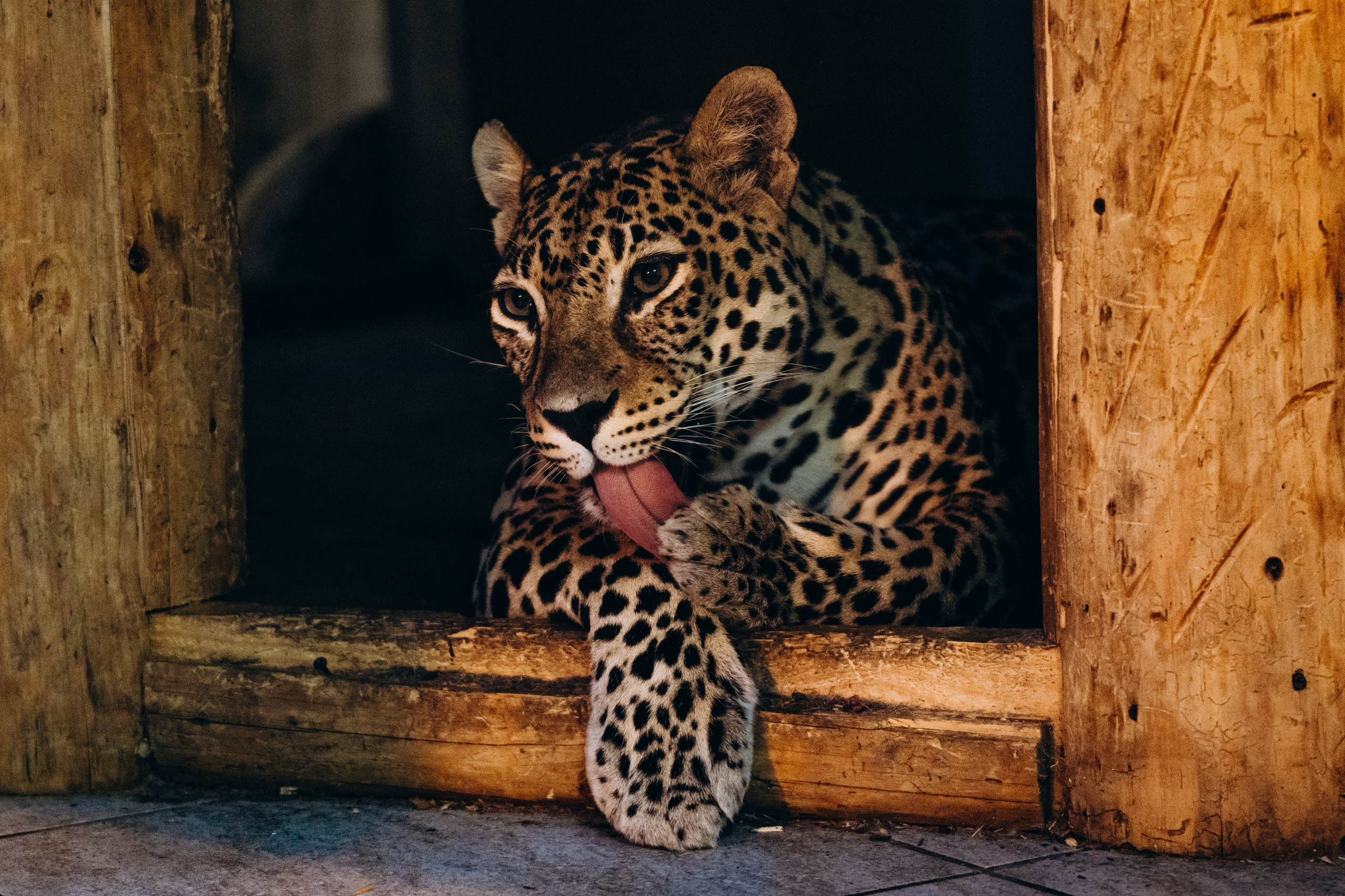 СЕВЕР. Event фотограф Степанова Александра