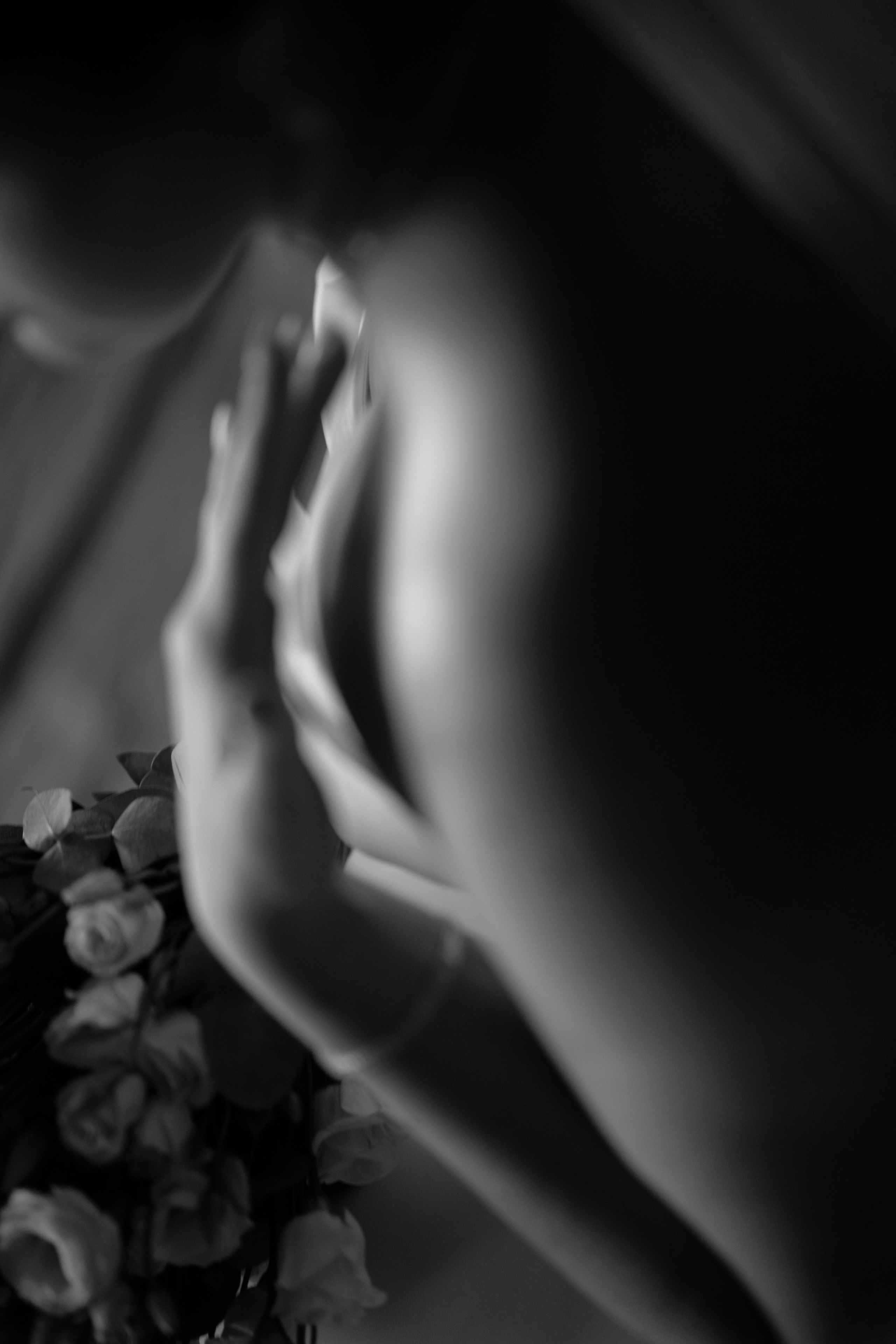 Дмитрий & Александра. Свадебный и портретный фотограф