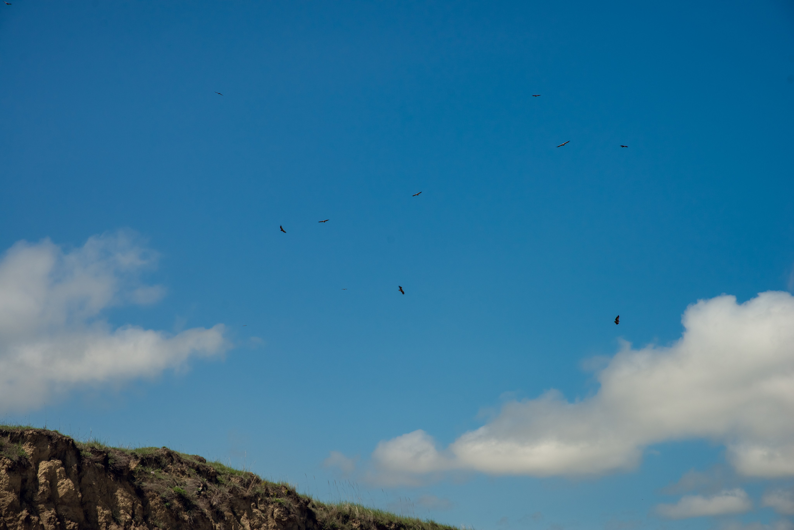 Дагестан. Фотограф Крещение Венчание Москва