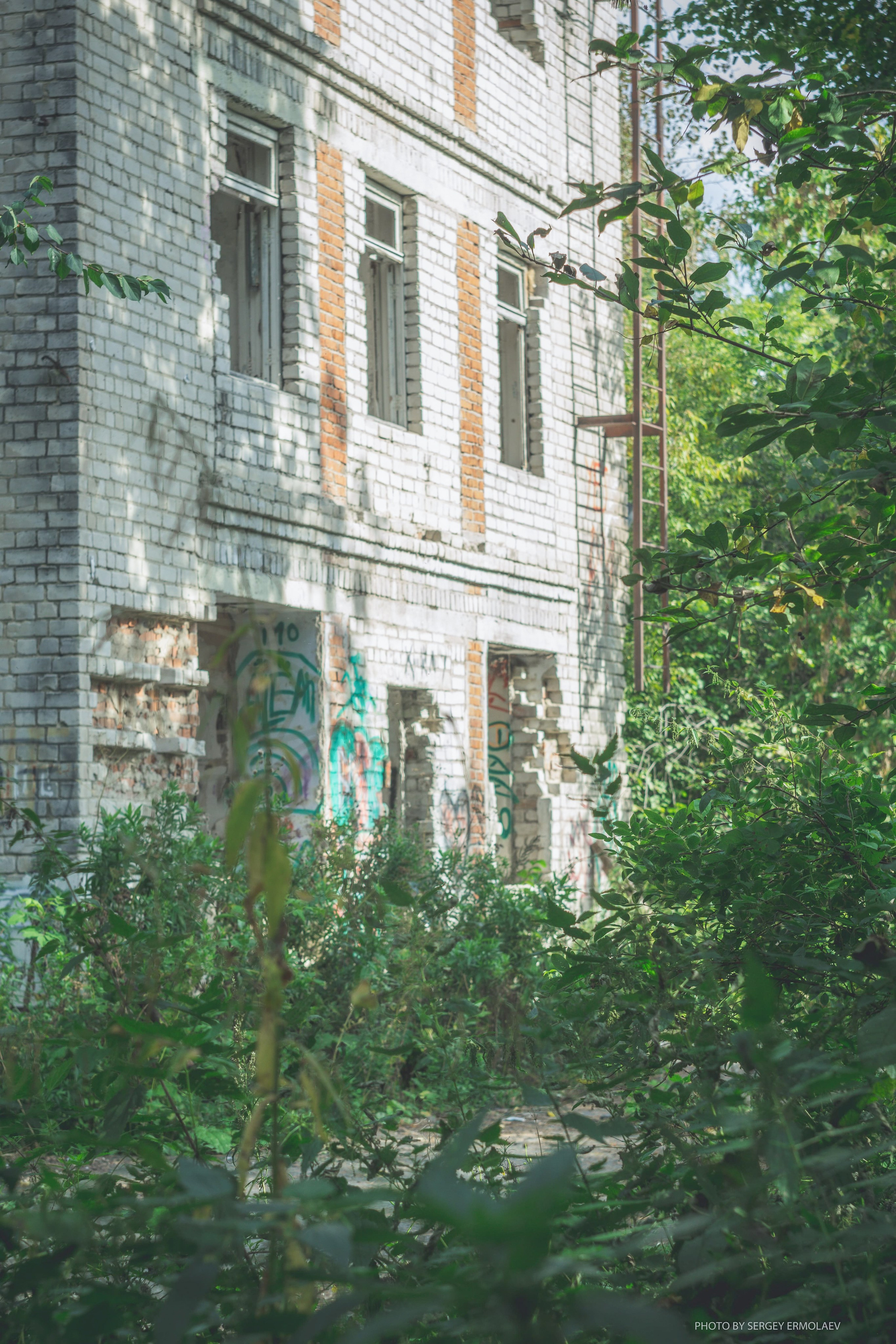 На тропах старинного парка