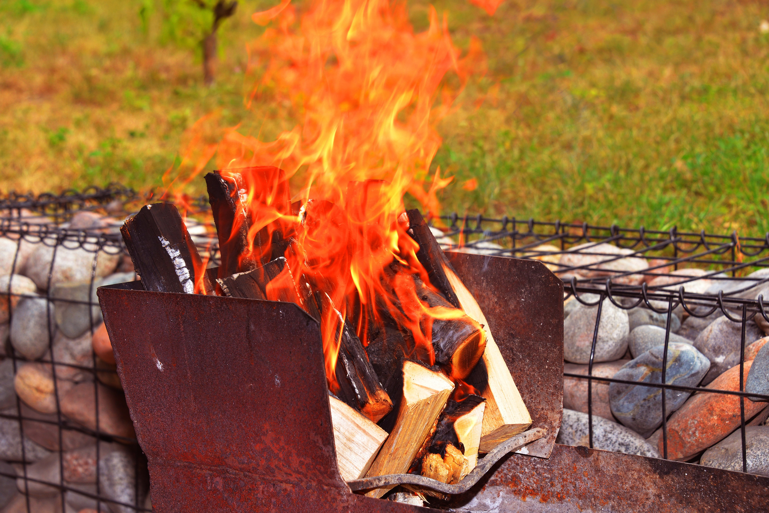 Тимбилдинг-3. Фотосъёмка. Фотограф Сергей Авдеев-семейный и детский фотограф в Алматы
