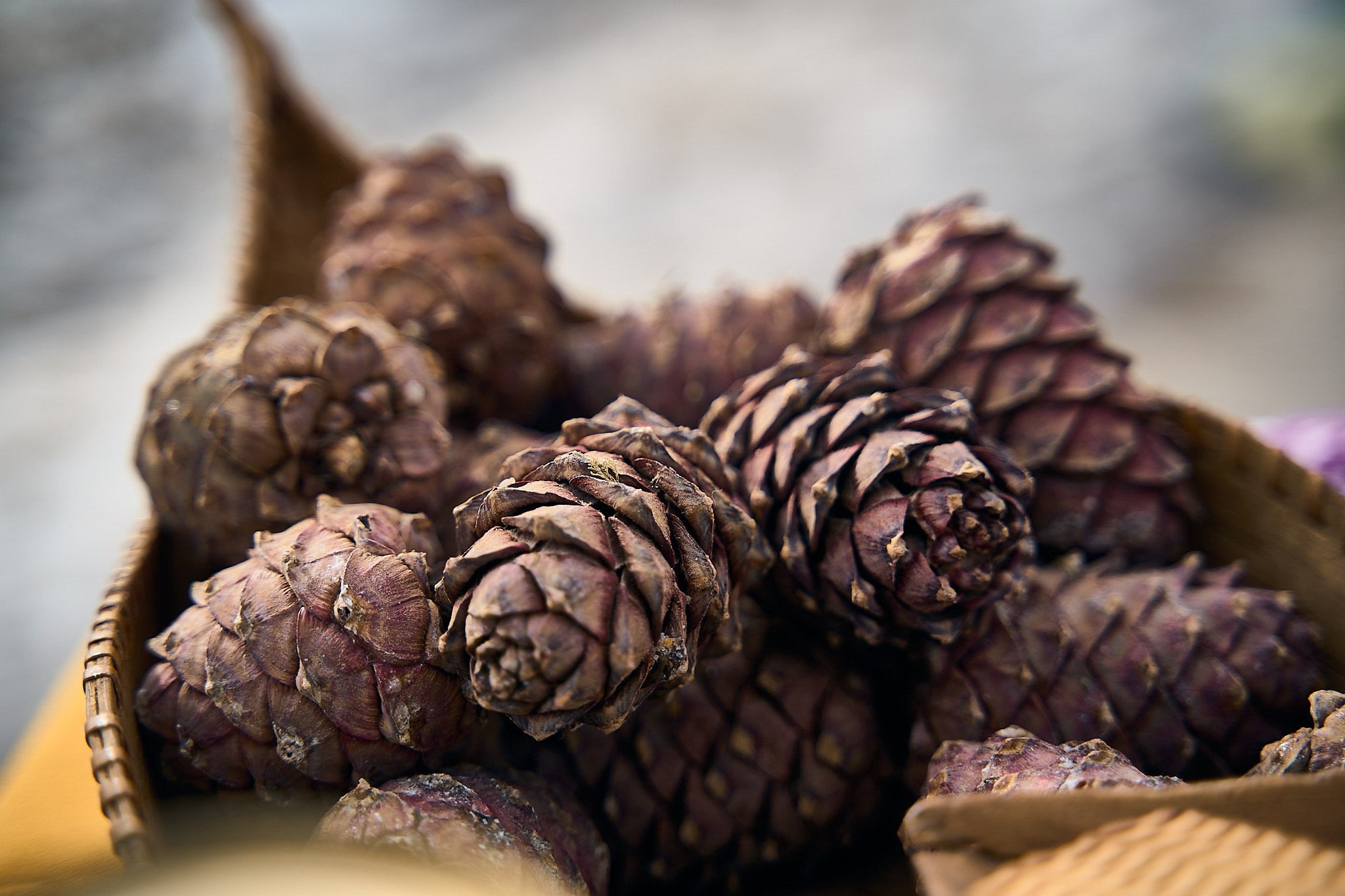 Агро 2022 г. Тюмень. Фотограф Станислав Баев