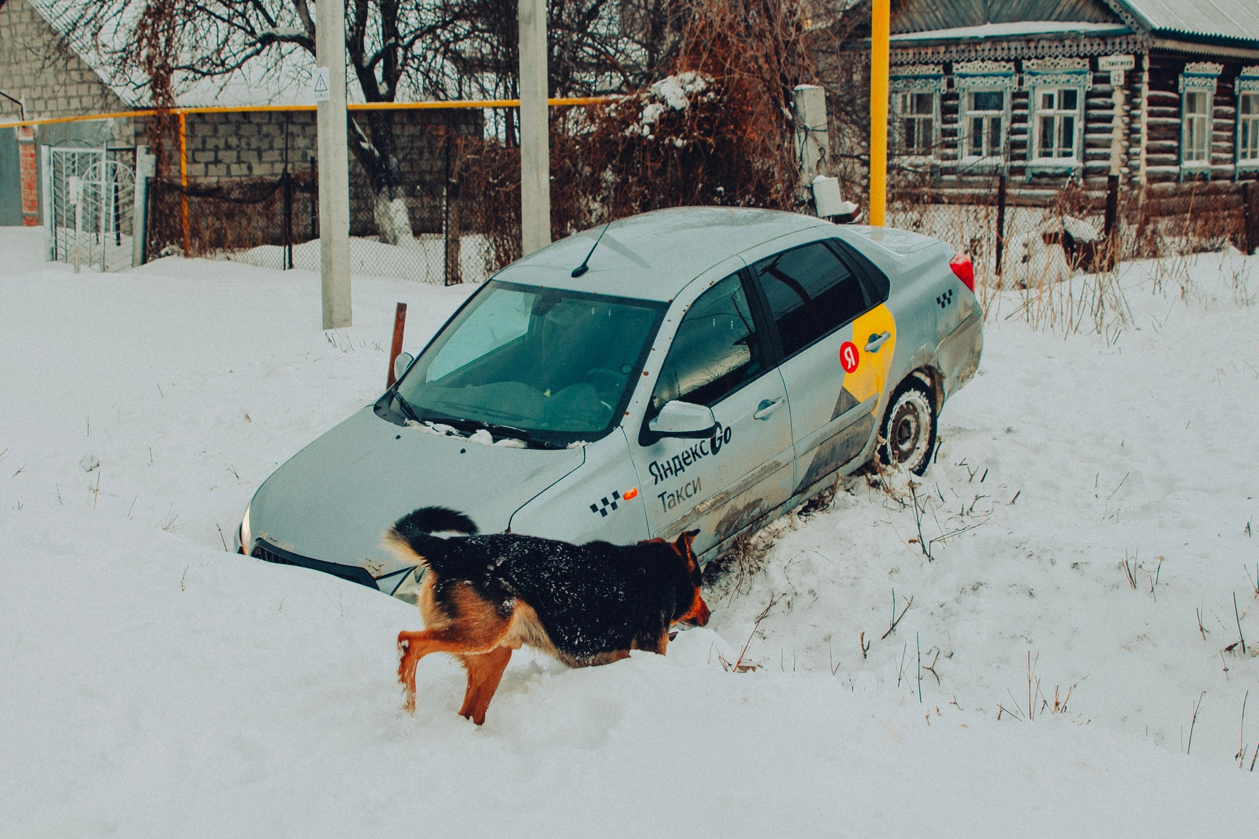 Что видно зимой?. Репортажный и портретный фотограф в Тольятти