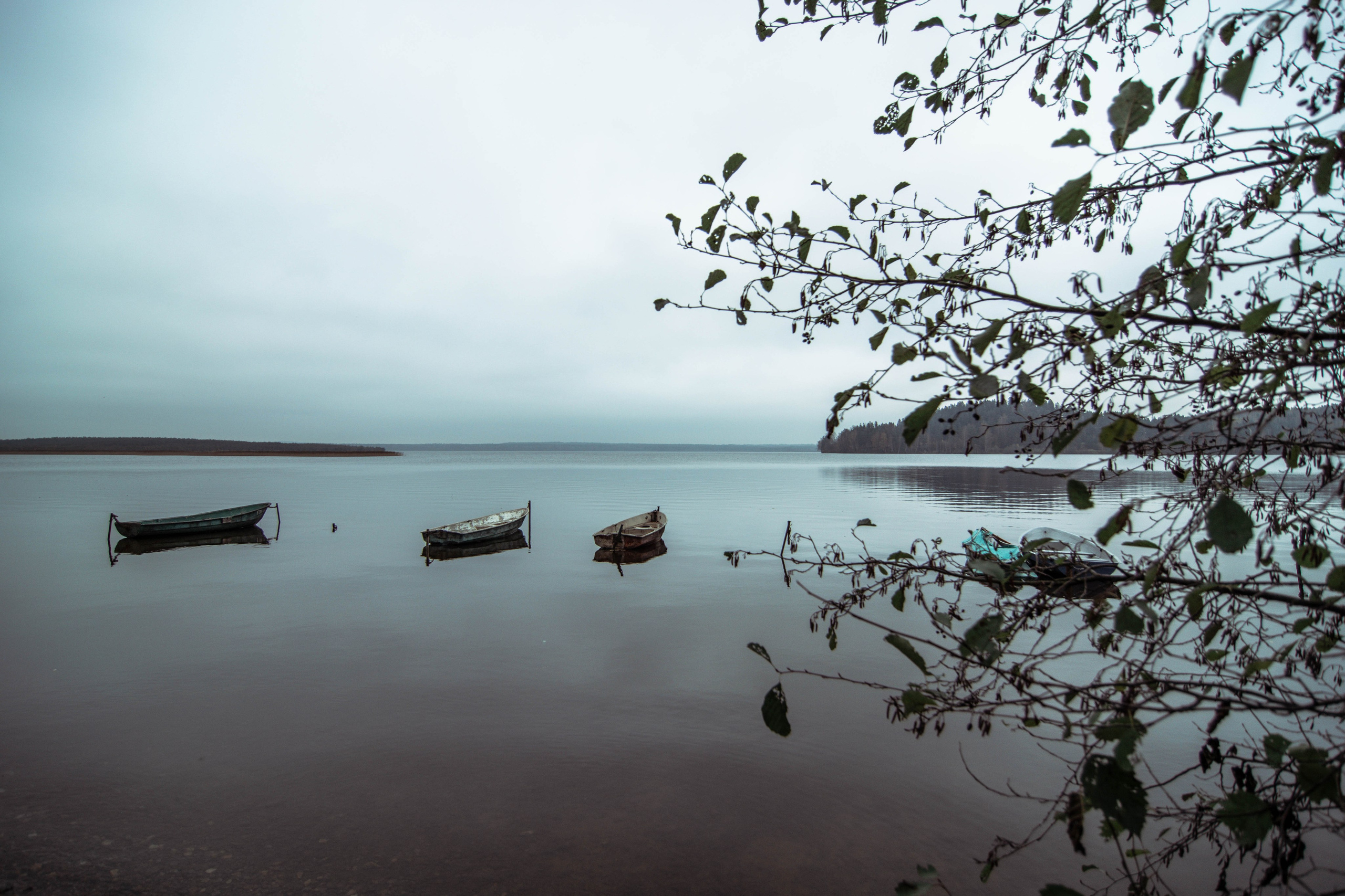 Лен Область. Мари Линёк-Стельмах Фотохудожник Санкт-Петербург/Урал