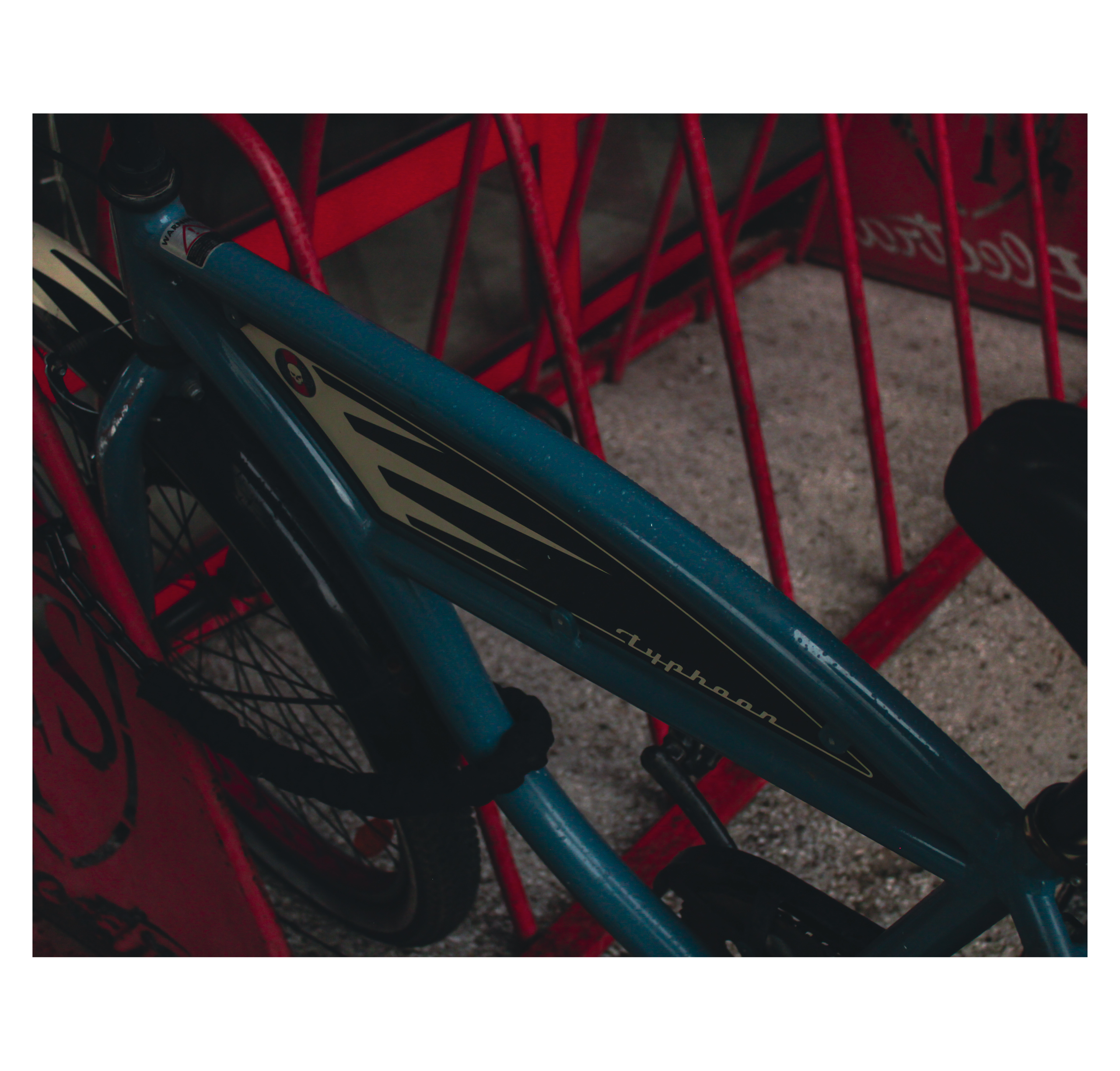 Summertime. Фотограф/дизайнер в Екатеринбурге Хитрый Дмитрий