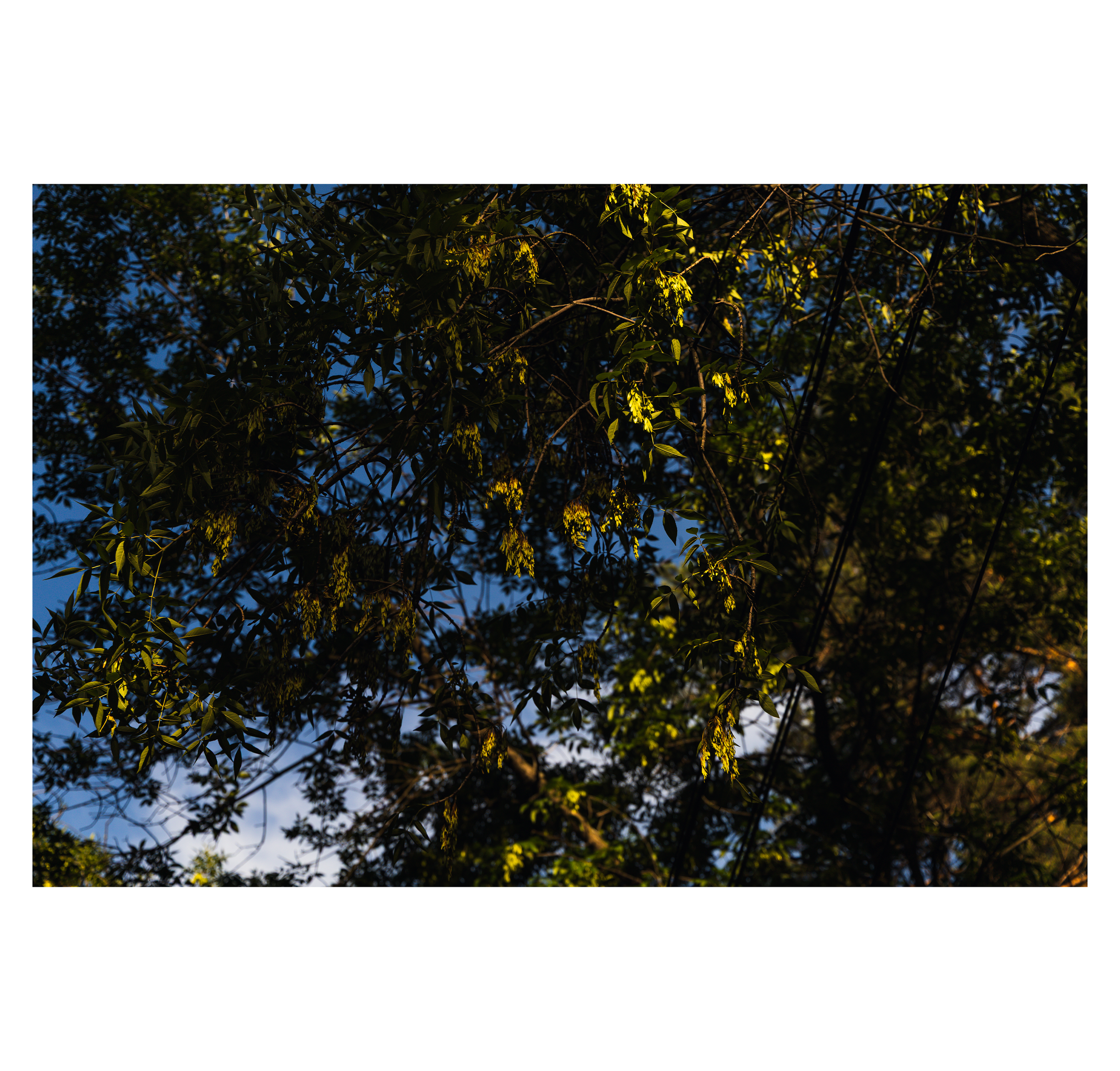 Summertime. Фотограф/дизайнер в Екатеринбурге Хитрый Дмитрий