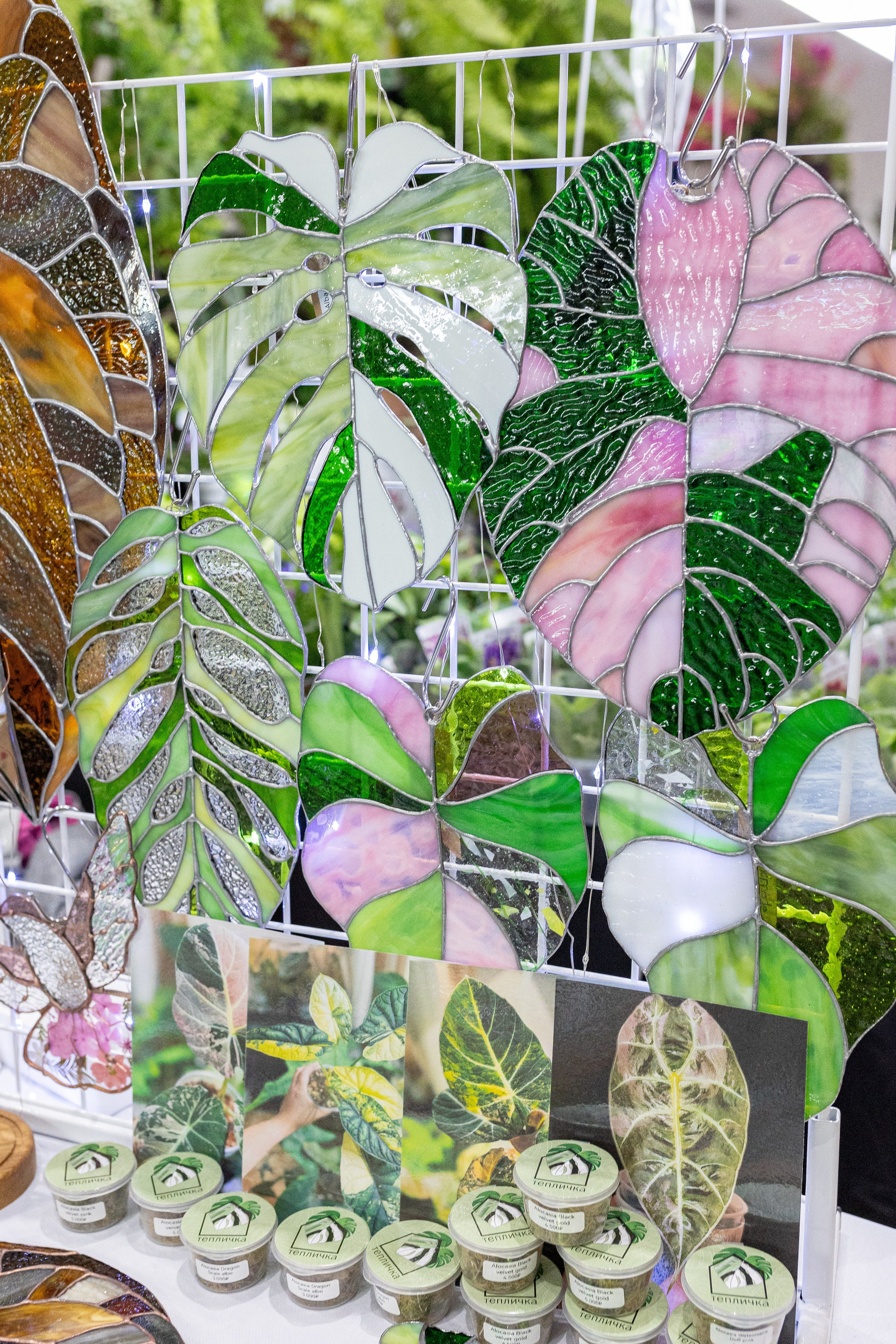 Монстериум 11–12 октября. Александра Куликова фотограф, Москва