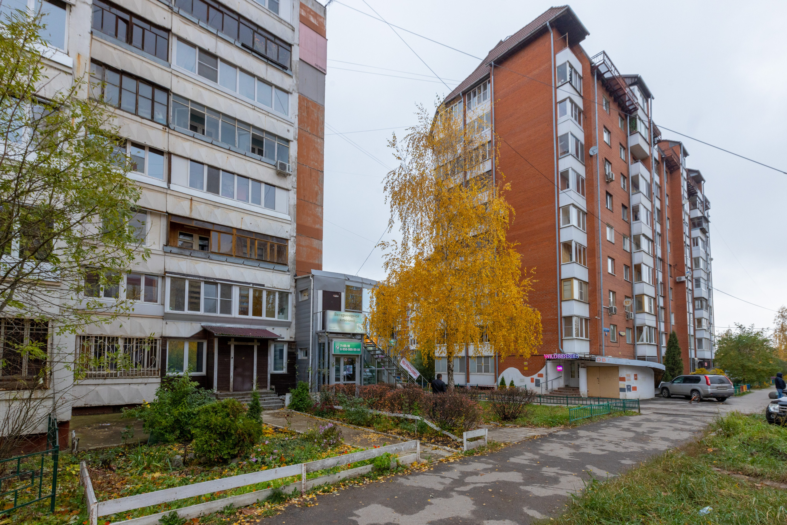 ВЕТ ТОЧКА. Фотограф в Туле Крупский АнДРей. Фотостудия «КАДР71» в Туле