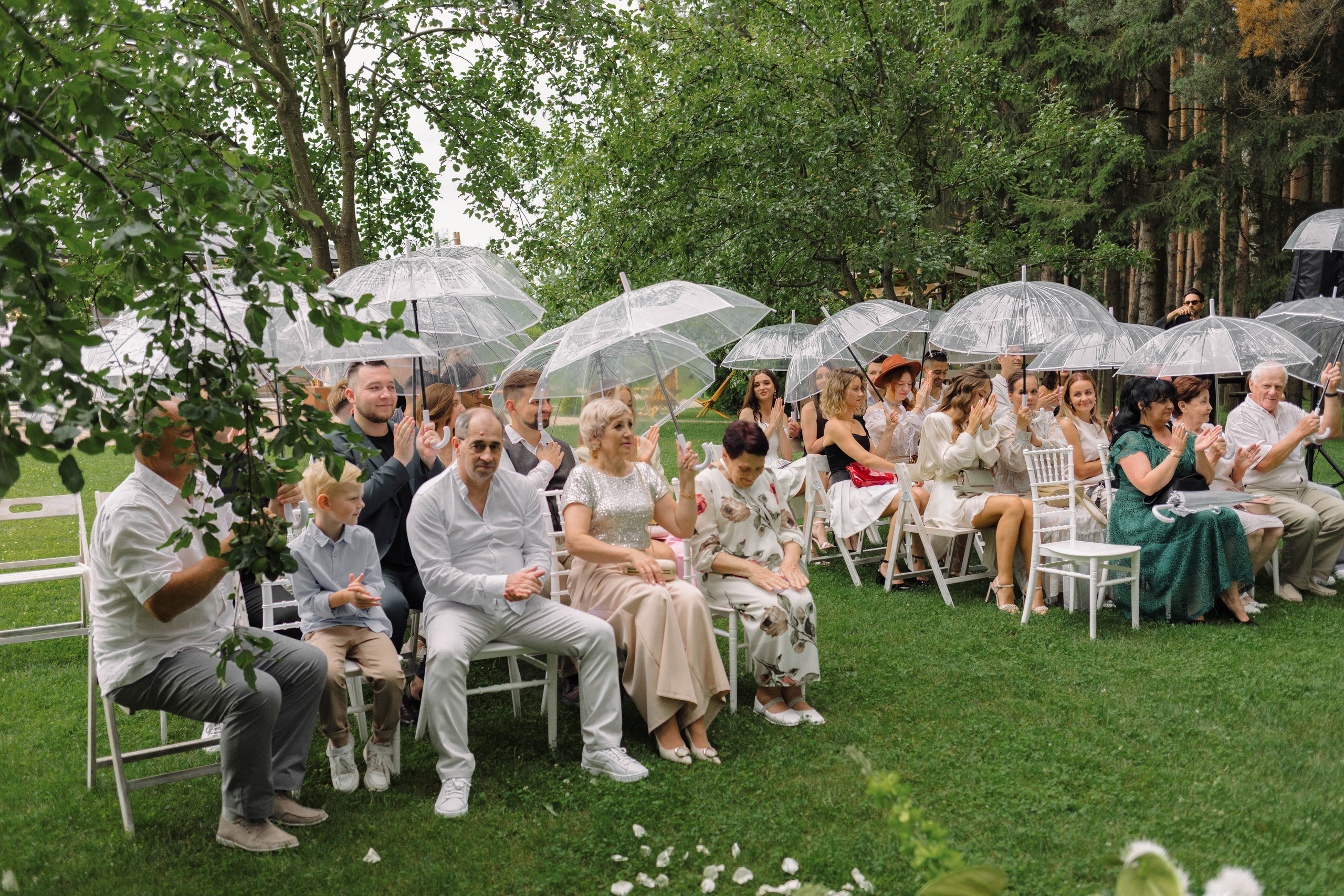 Зеленый сад