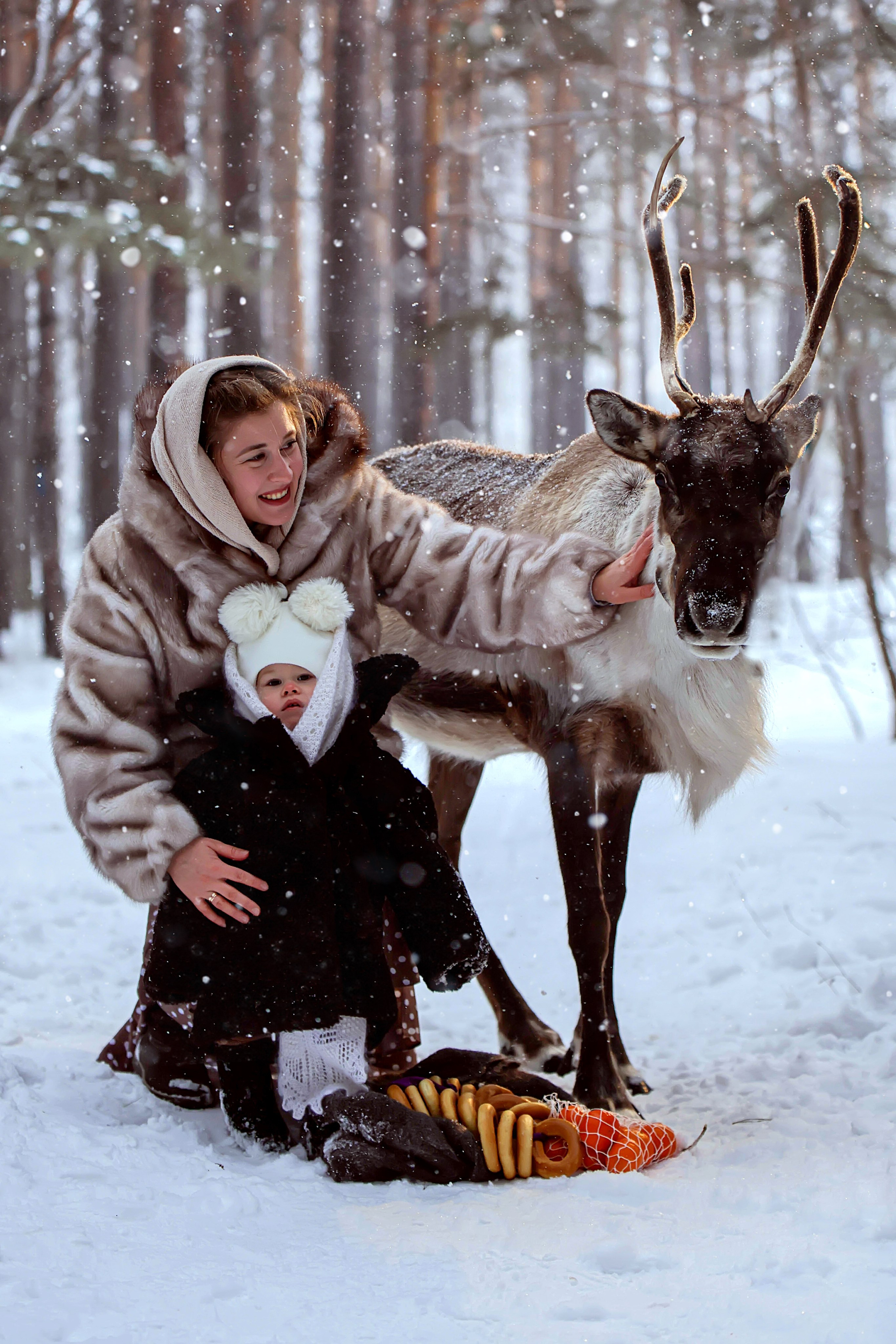 Олениха Нося 2024. Конный фотограф в Красноярске — Любовь Похабова