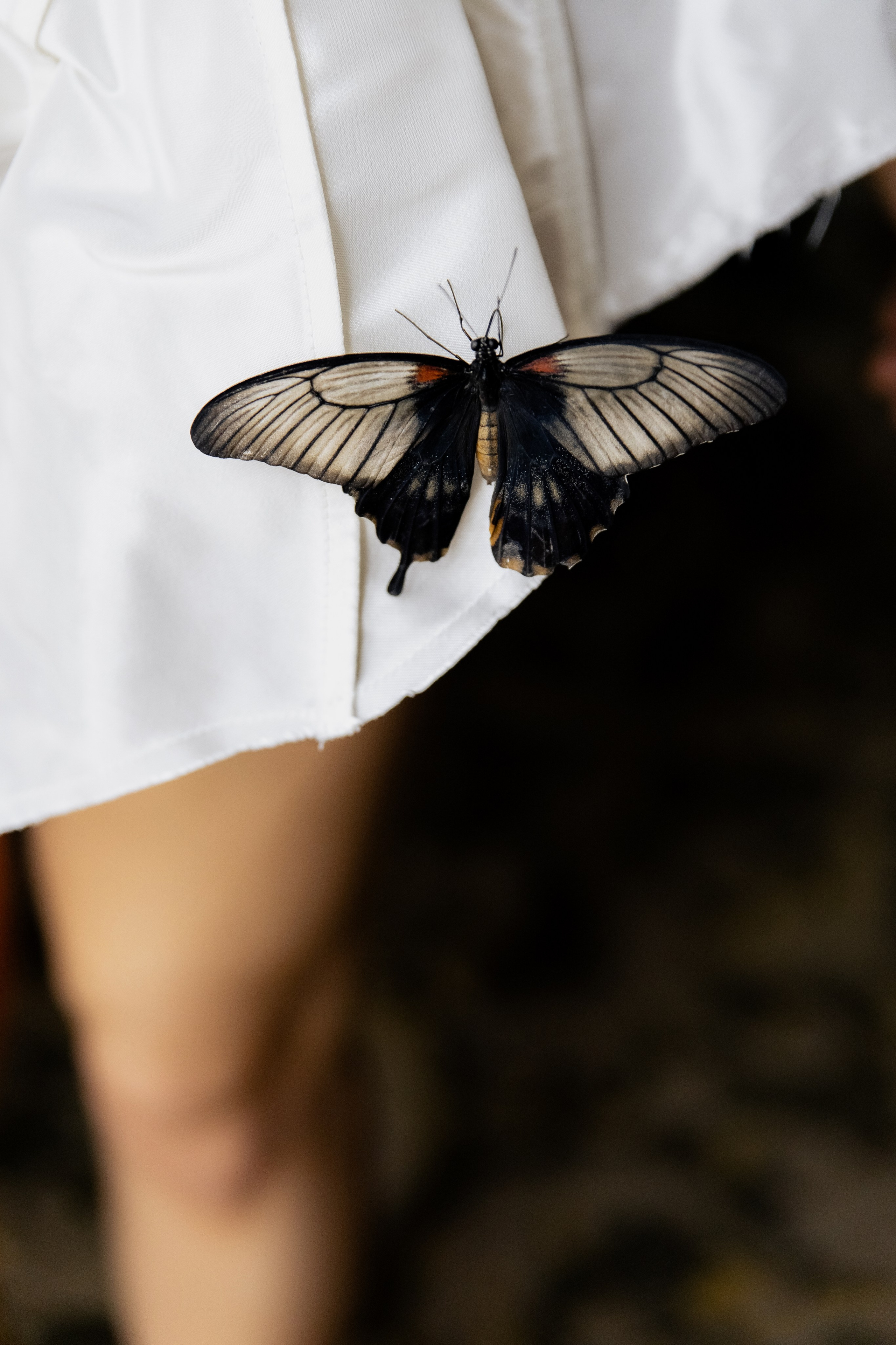 After Midnight История любви. Фотограф и Видеограф в Ростове на Дону