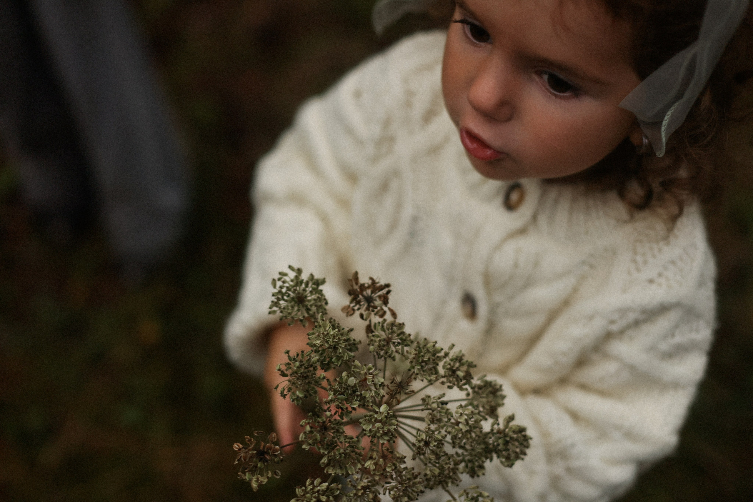 Кудряшки. Фотограф — Ольга Косолюкина