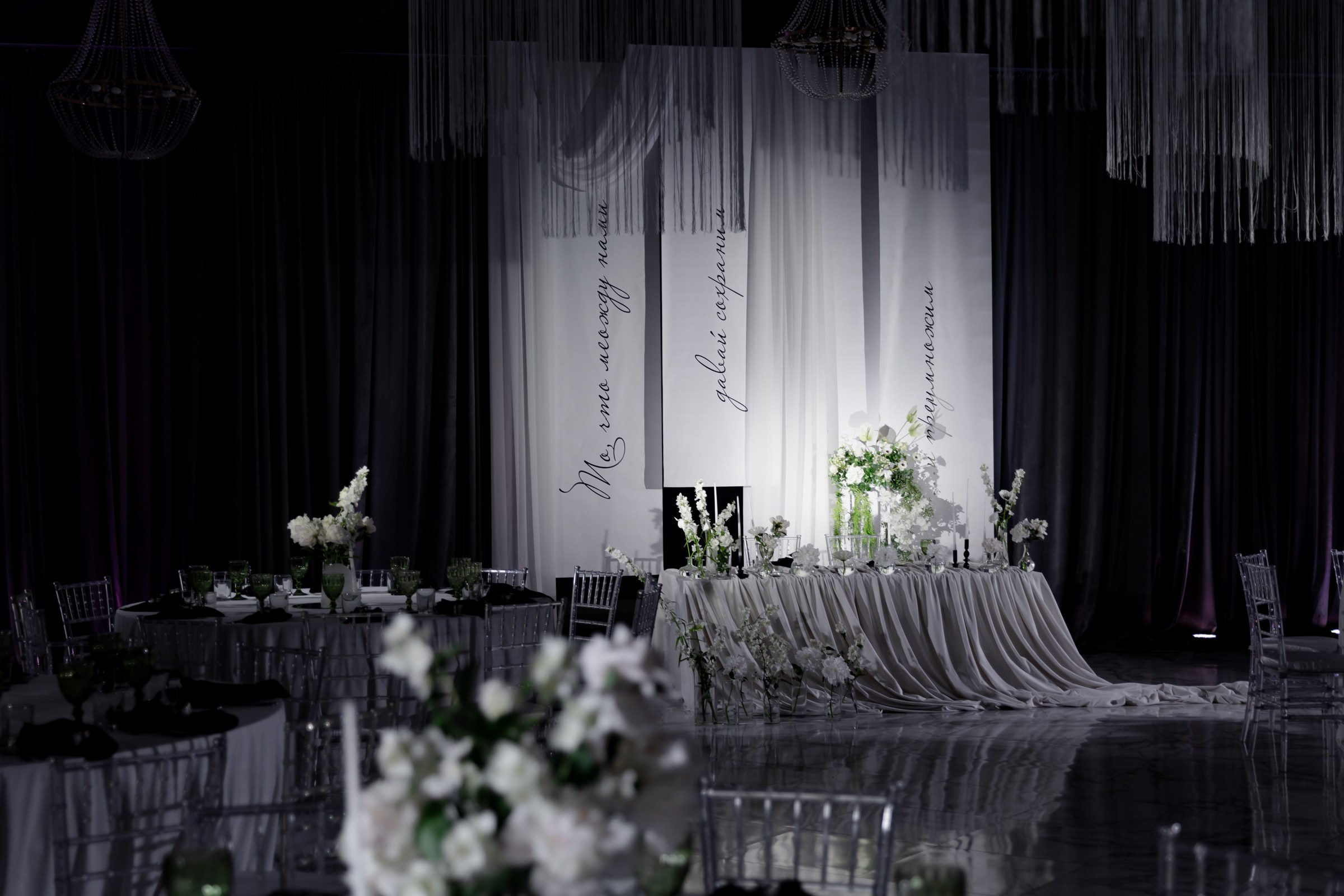 Свадьба пес и котики. Dima Lemeshevsky