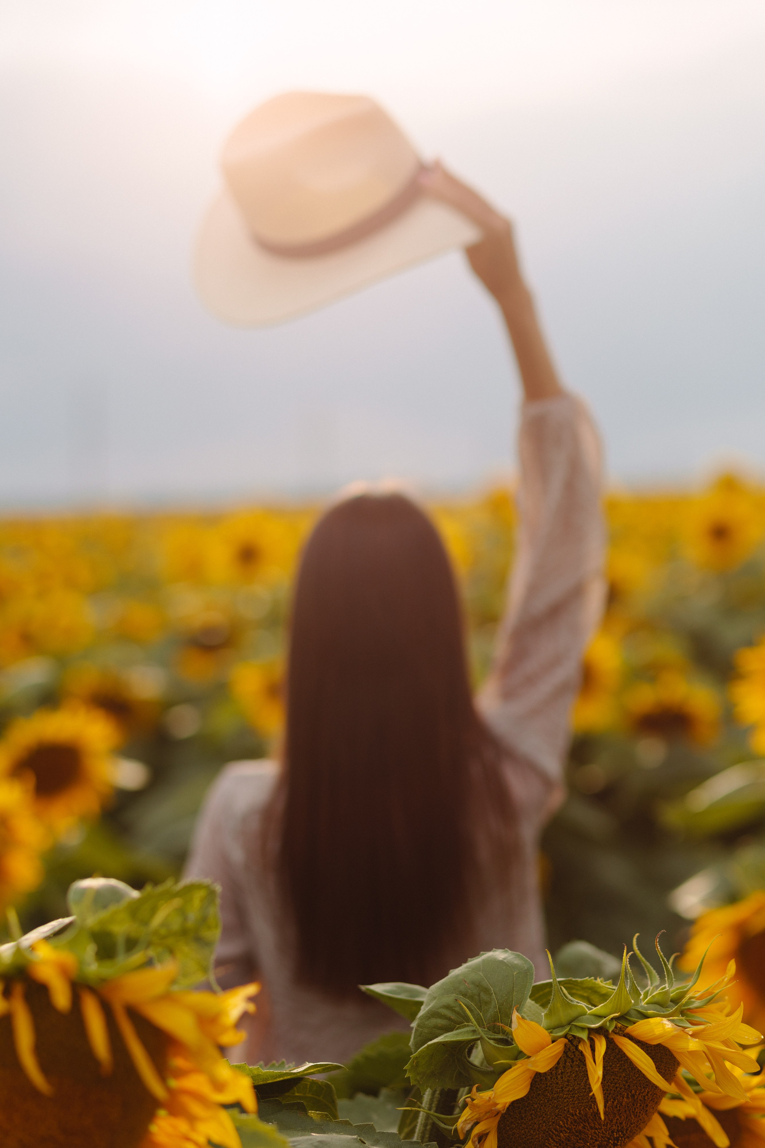 Подсолнухи. Dima Lemeshevsky