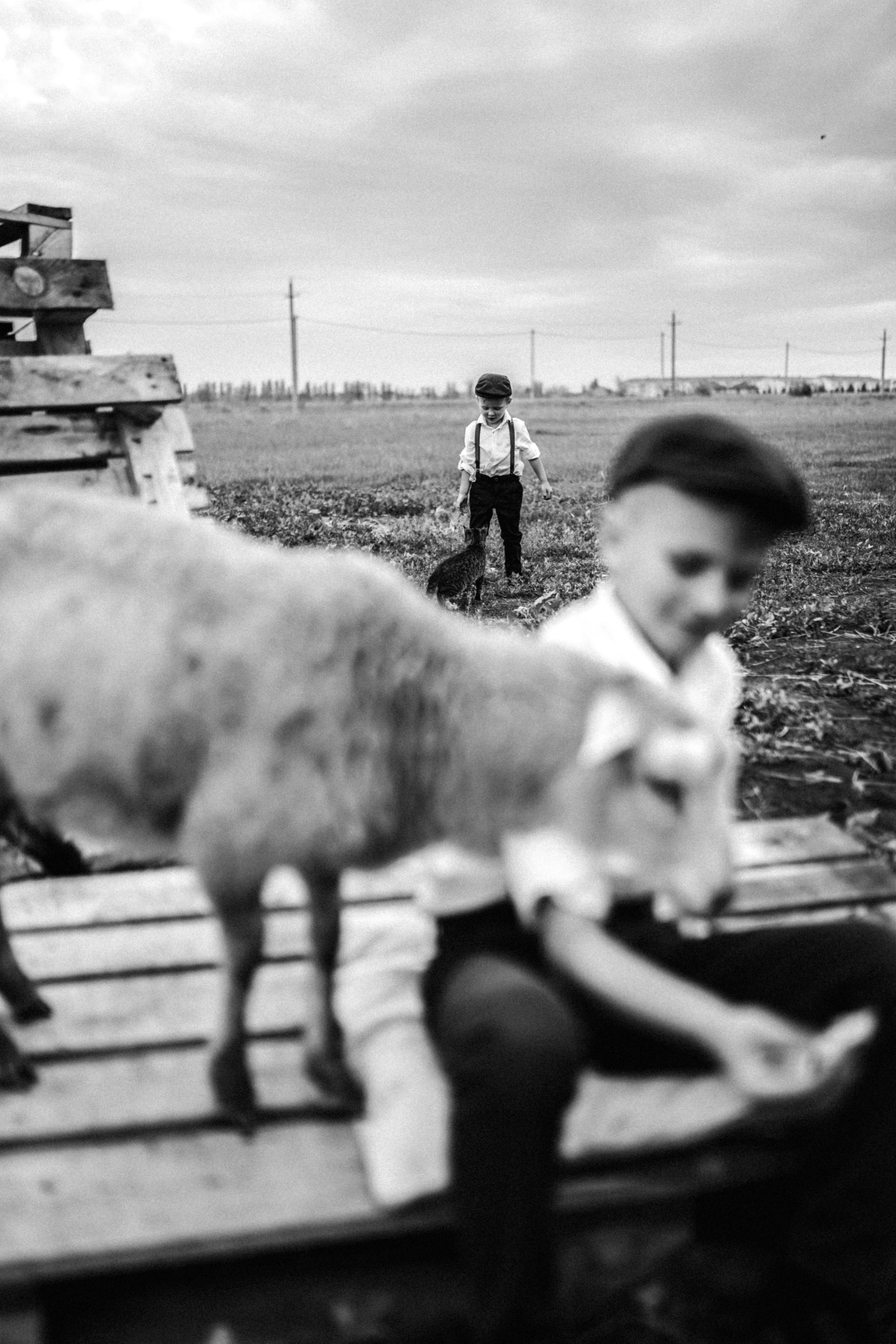 Макс и Оля. Свадебный фотограф Тольятти Москва Адамова Виктория