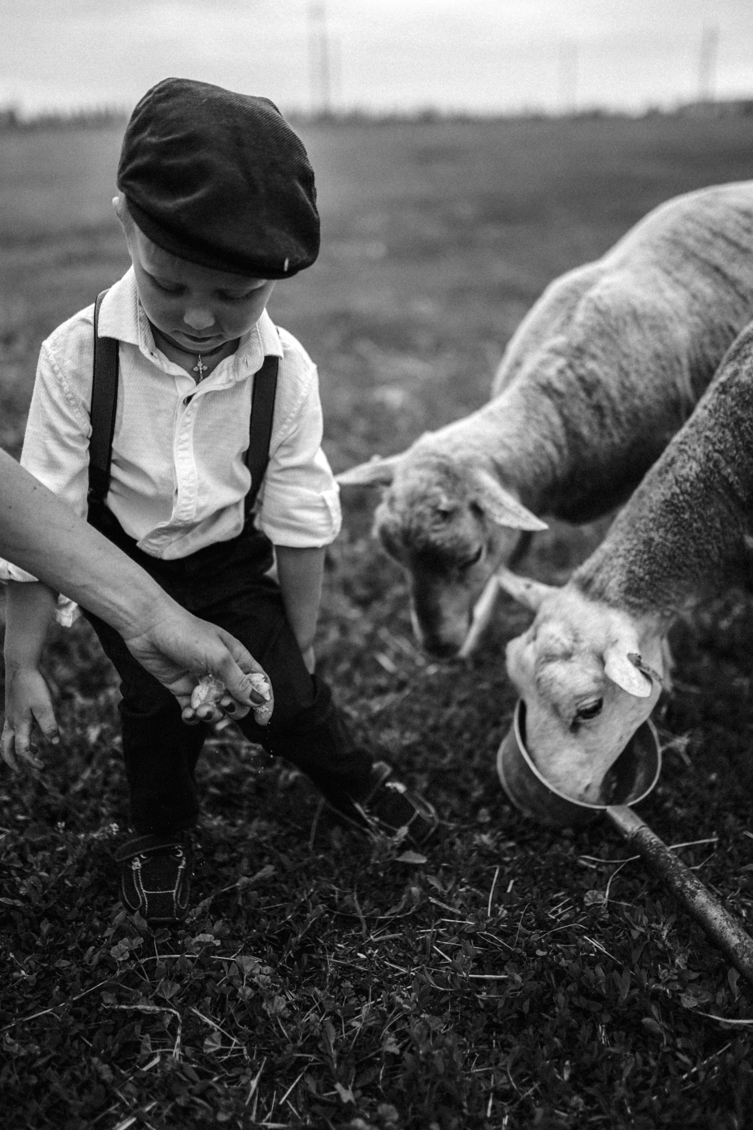 Макс и Оля. Свадебный фотограф Тольятти Москва Адамова Виктория