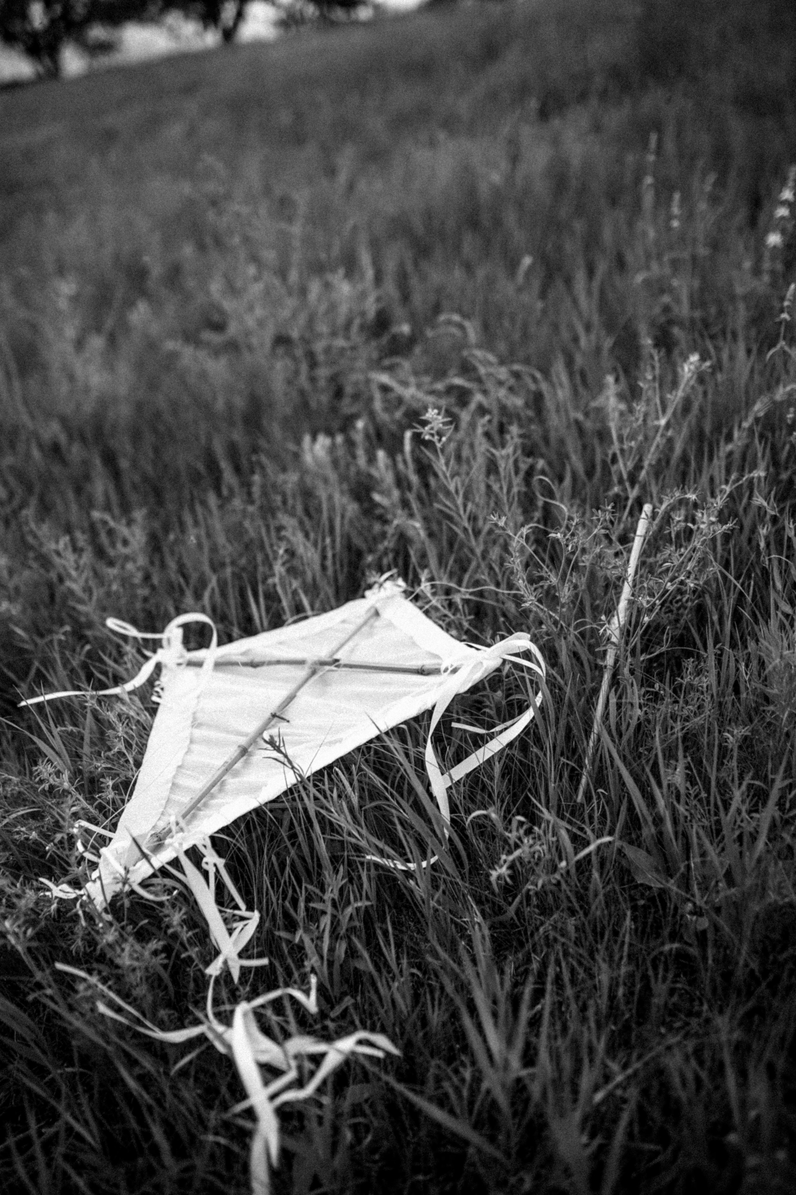 Семья Кати. Свадебный фотограф Тольятти Москва Адамова Виктория