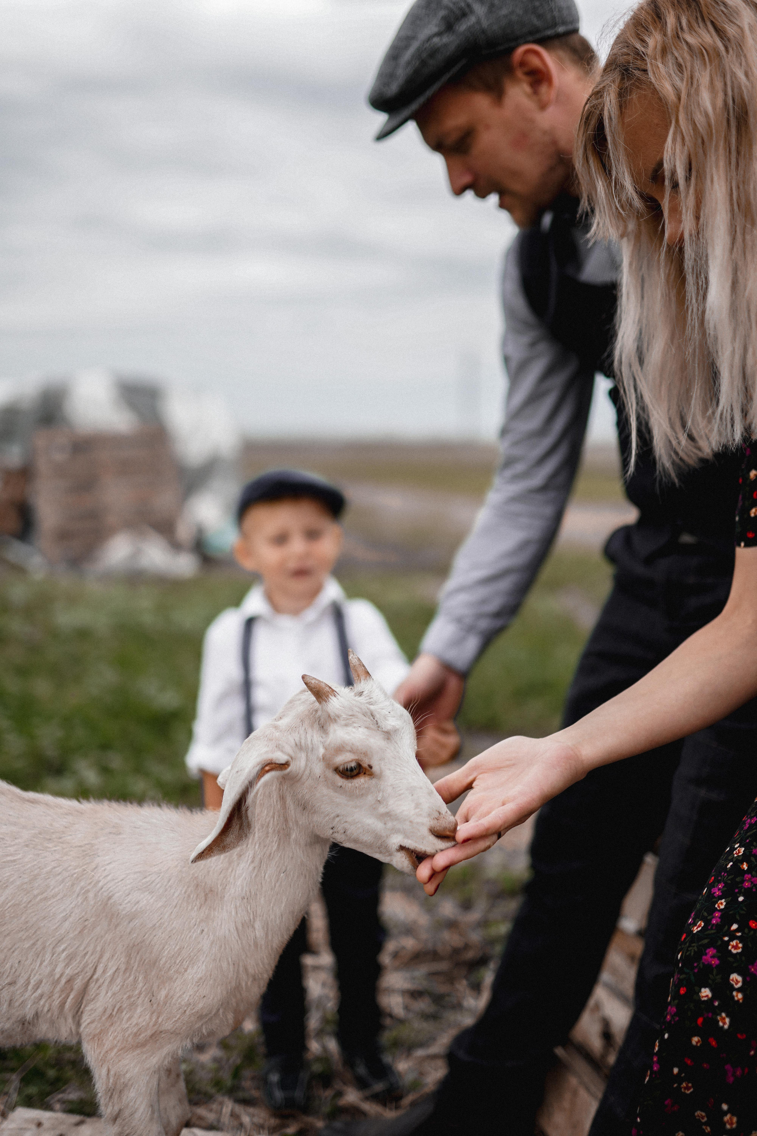 Макс и Оля. Свадебный фотограф Тольятти Москва Адамова Виктория
