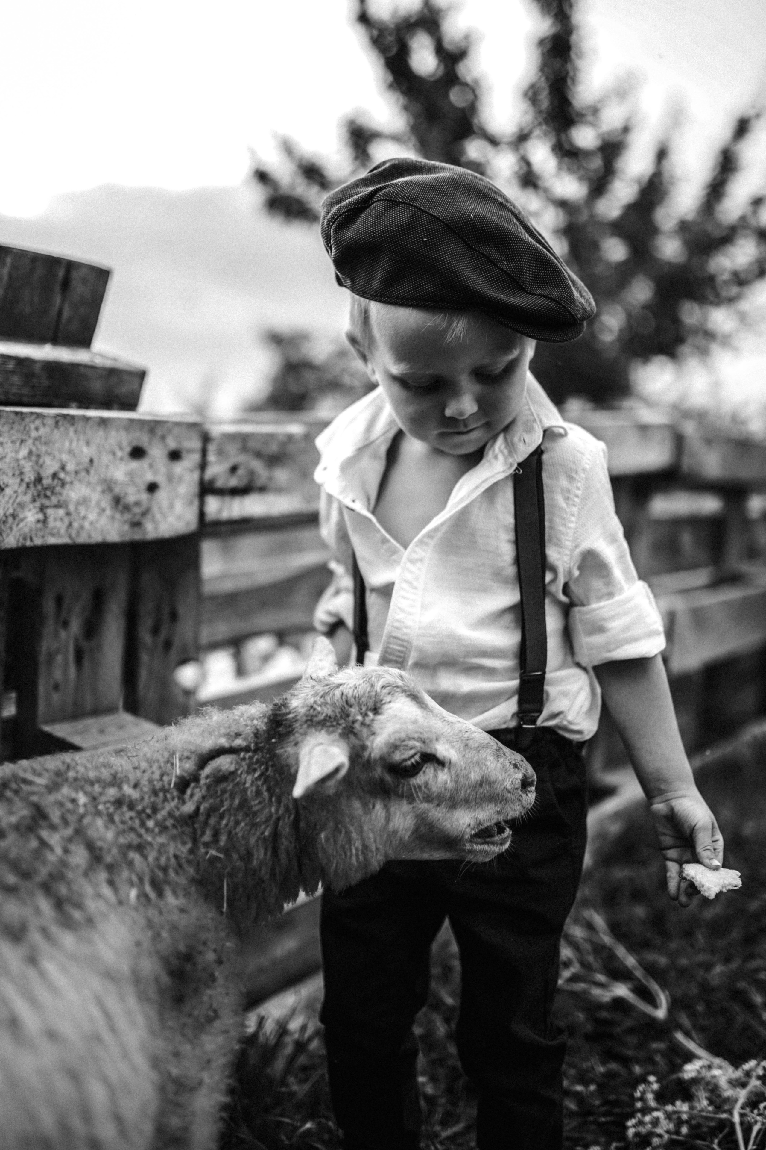 Макс и Оля. Свадебный фотограф Тольятти Москва Адамова Виктория