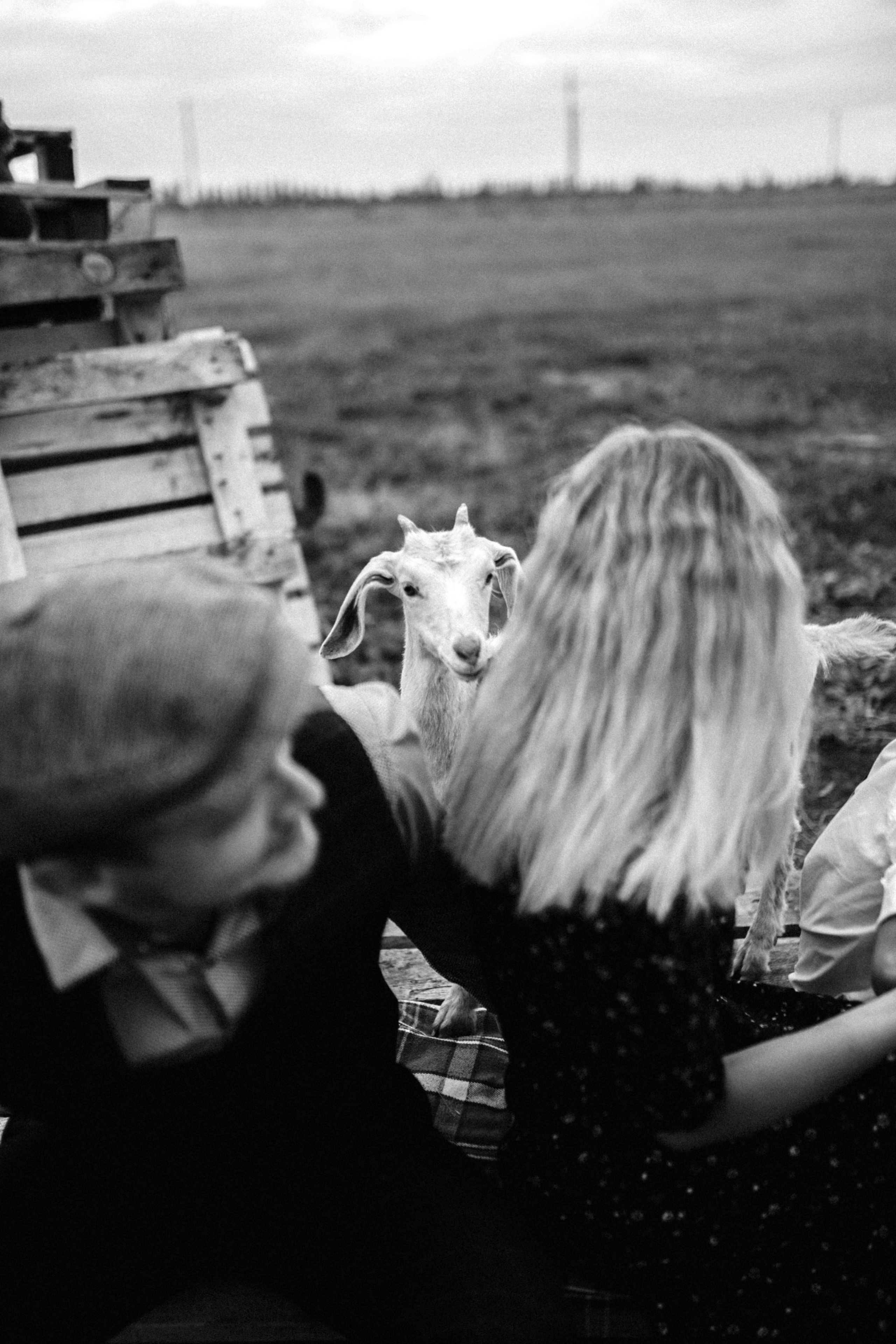 Макс и Оля. Свадебный фотограф Тольятти Москва Адамова Виктория