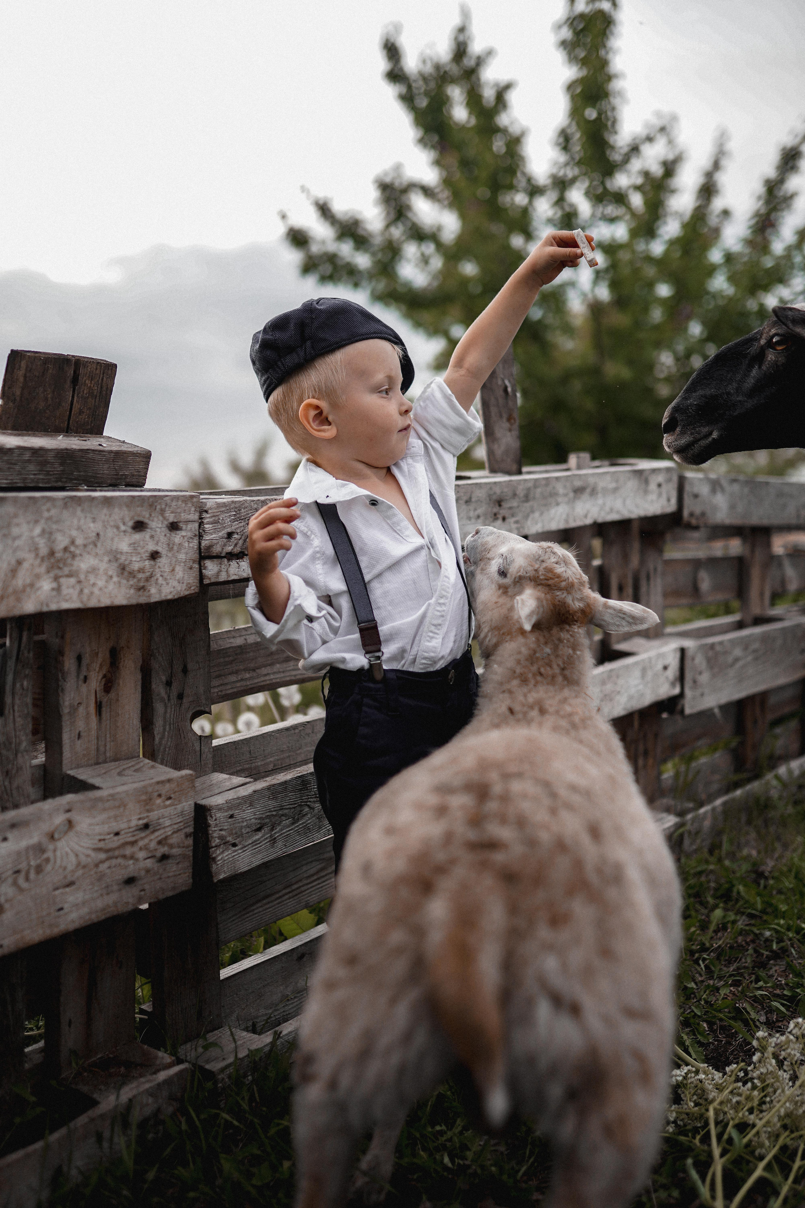 Макс и Оля. Свадебный фотограф Тольятти Москва Адамова Виктория