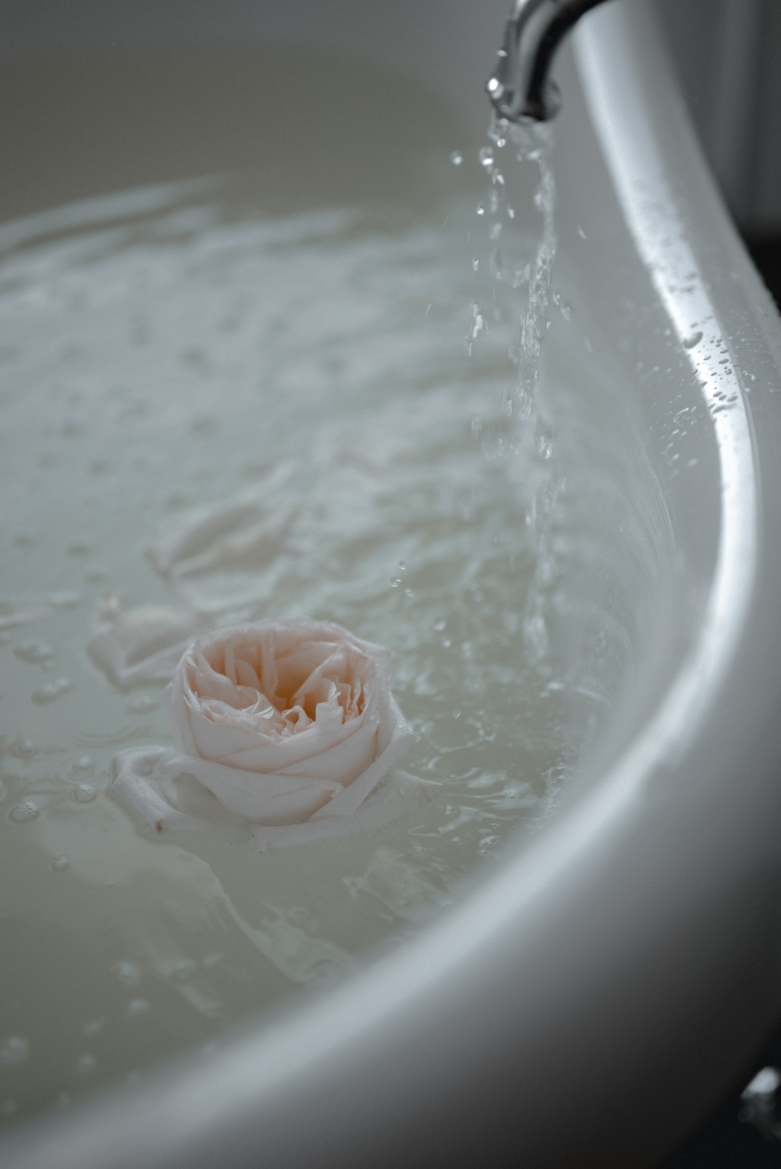 LAMOUR. TOUJOUR. Свадебный фотограф Тольятти Москва Адамова Виктория