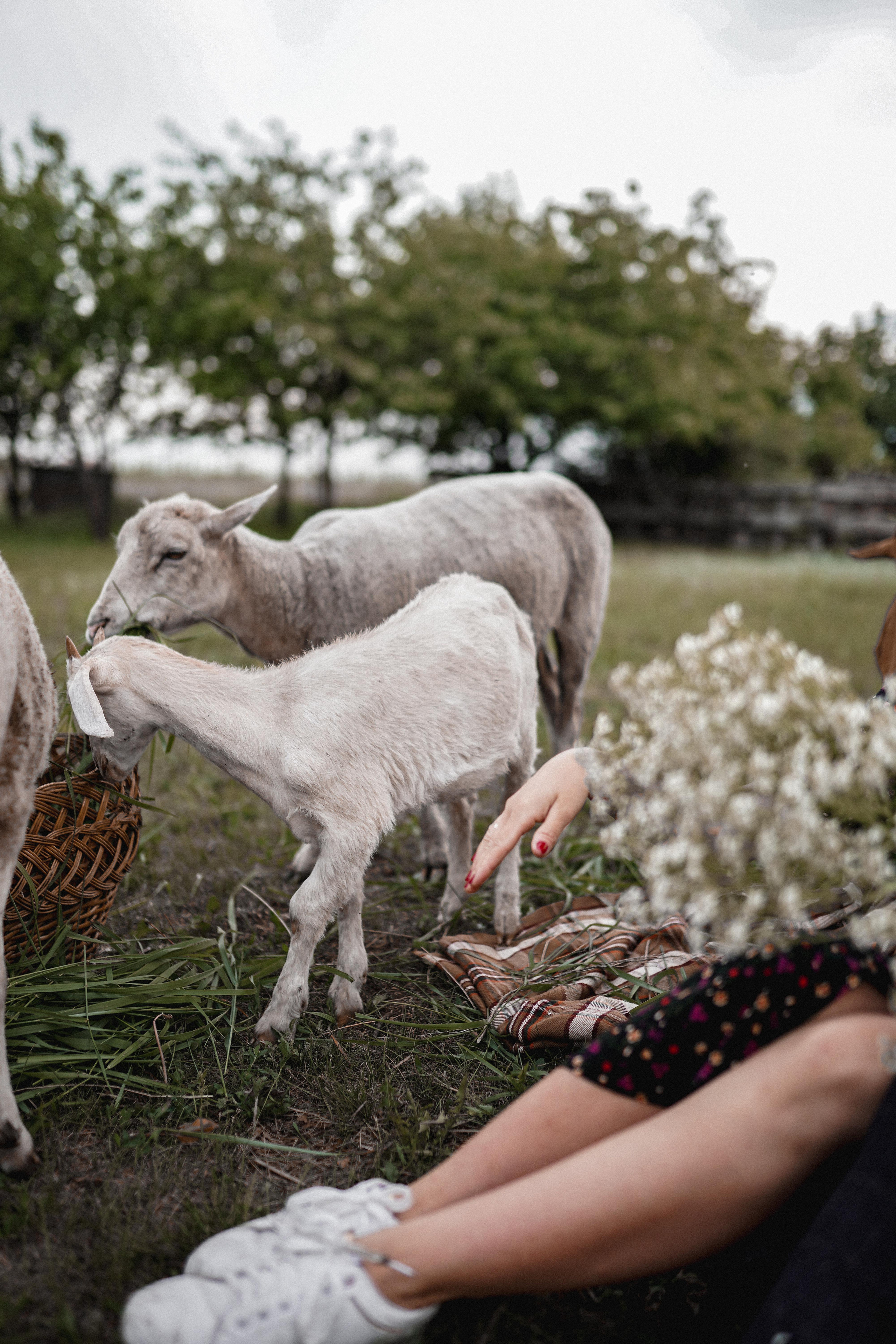 Макс и Оля. Свадебный фотограф Тольятти Москва Адамова Виктория