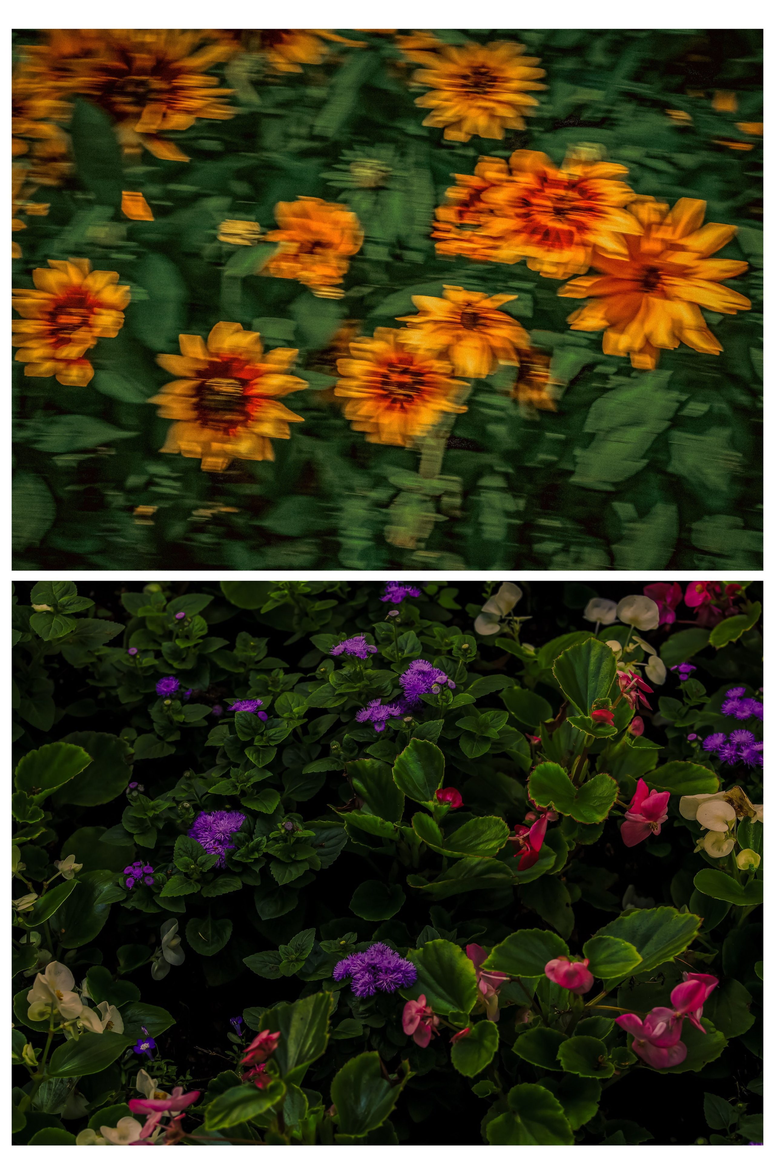 Природа &. Фотохудожник в СПб