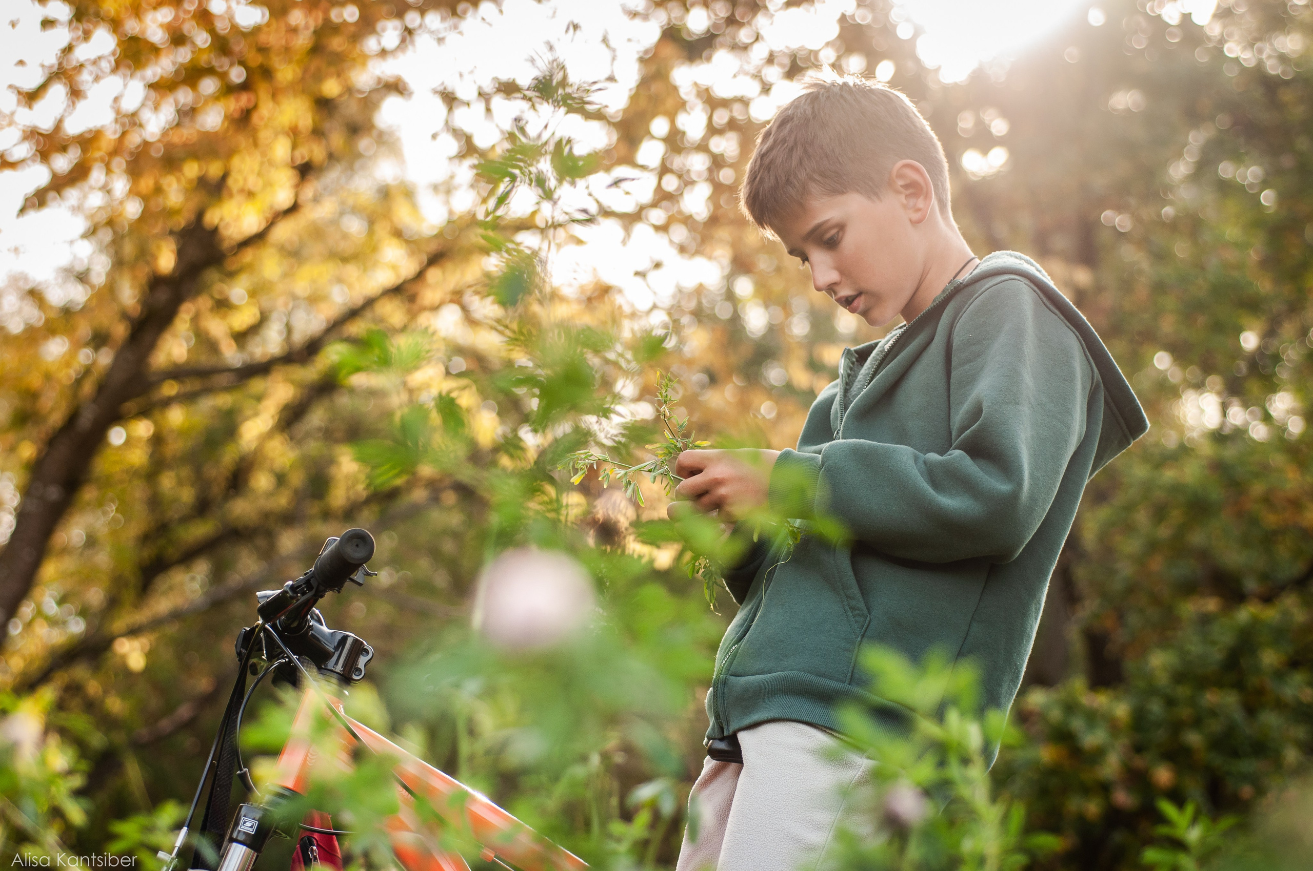 Иван. Фотограф Алиса Канцибер. Москва. Портрет, семейное фото, свадьбы