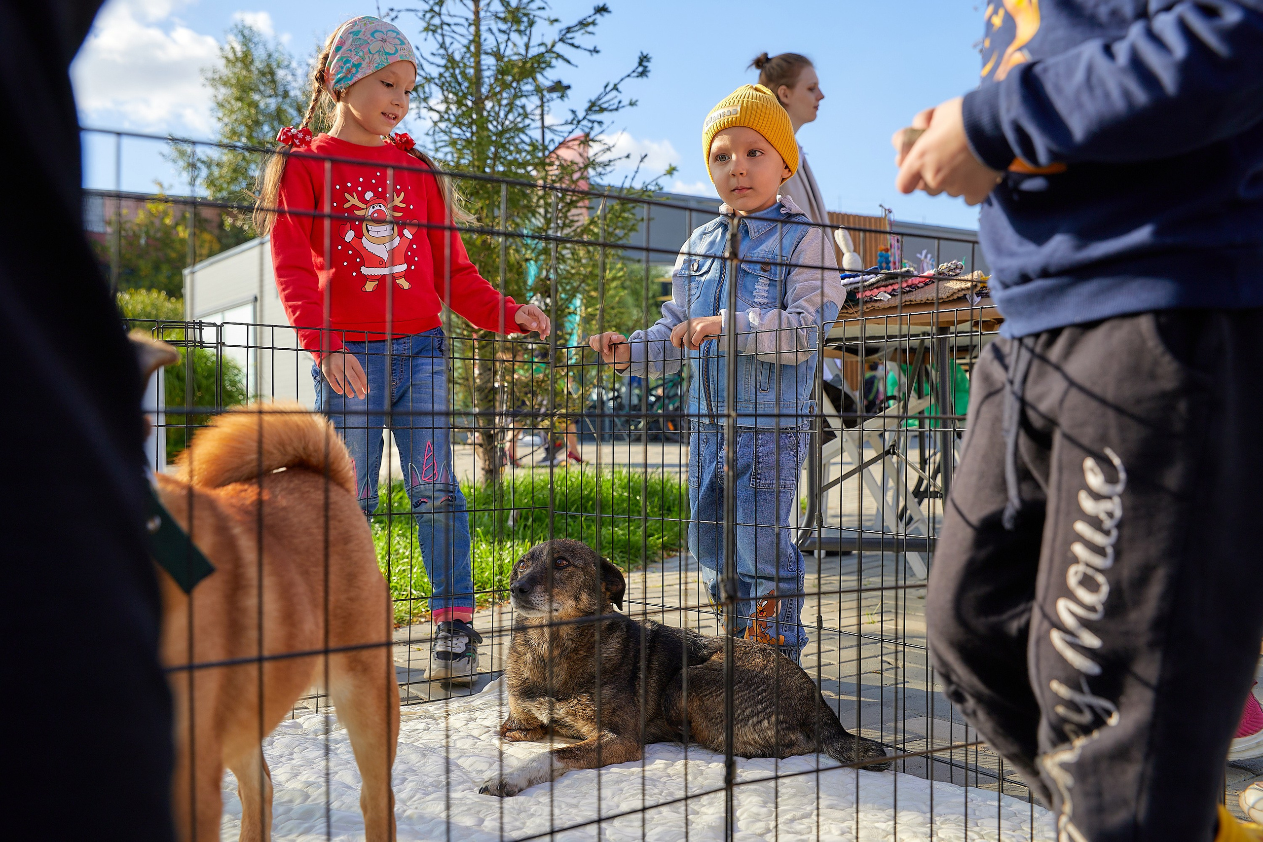 Мероприятия. Галина Шабурова, фотограф в Челябинске