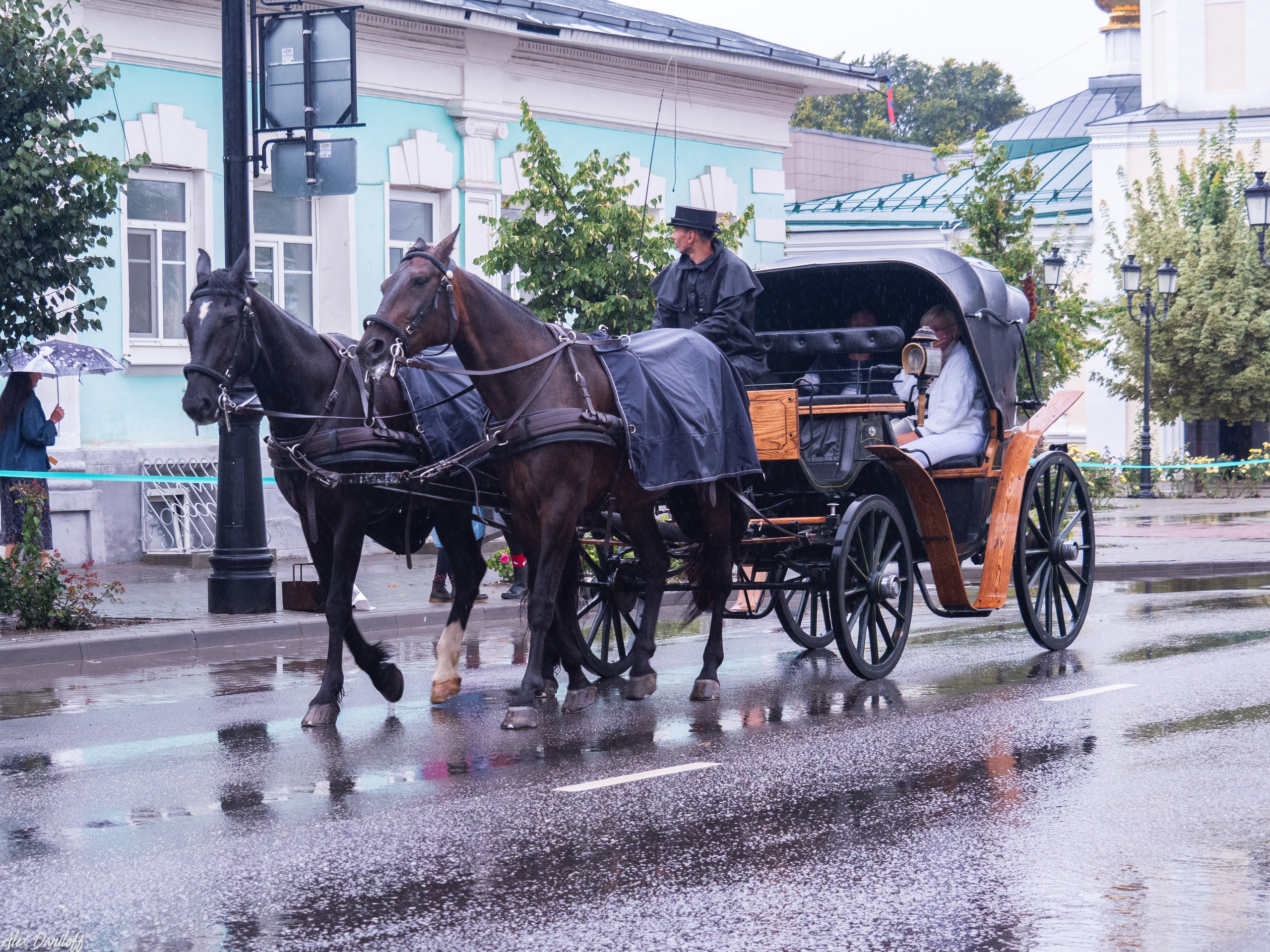 День города Муром 2025. Муром-Инфо. Новости культуры, образования, спорта в городе Муром