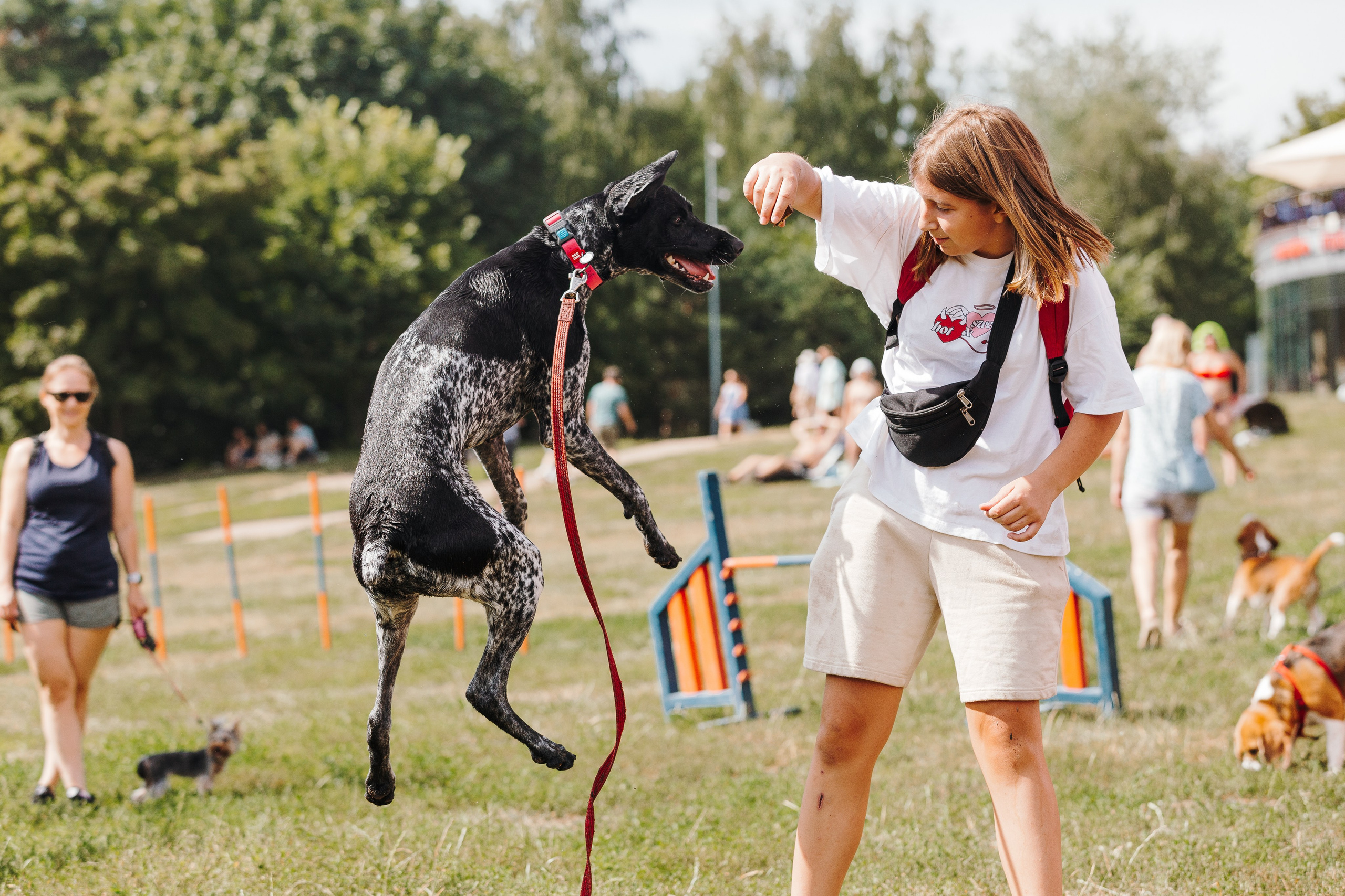 Petshop Sup day. Фотограф анималист Кристина Карпова, Москва