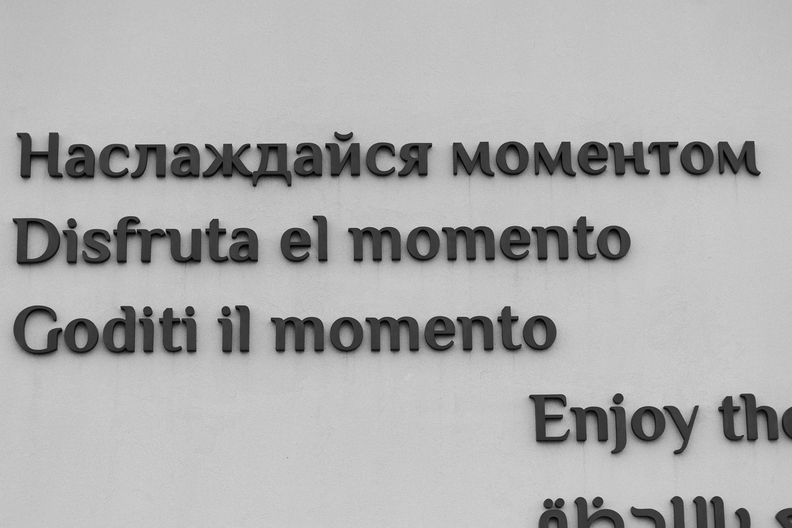 D & S. Свадебный фотограф Алина Хабарова